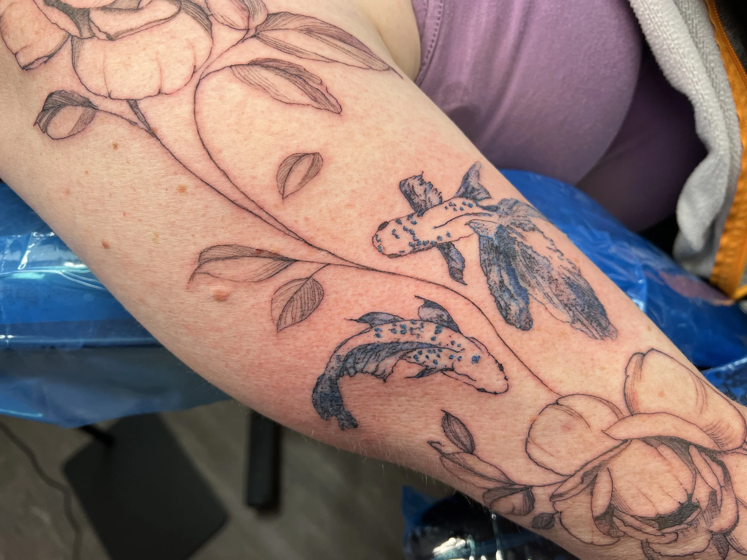 A person's arm with a tattoo of a strawberry plant, leaves, and a strawberry berry, with some parts still in the outline stage.
