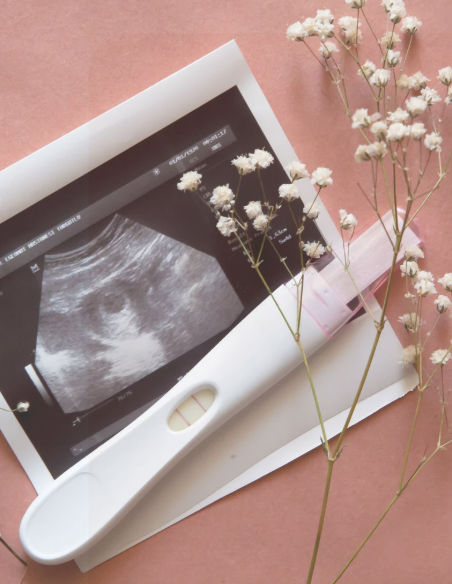 Pregnancy Prep- Preconception Nutrition