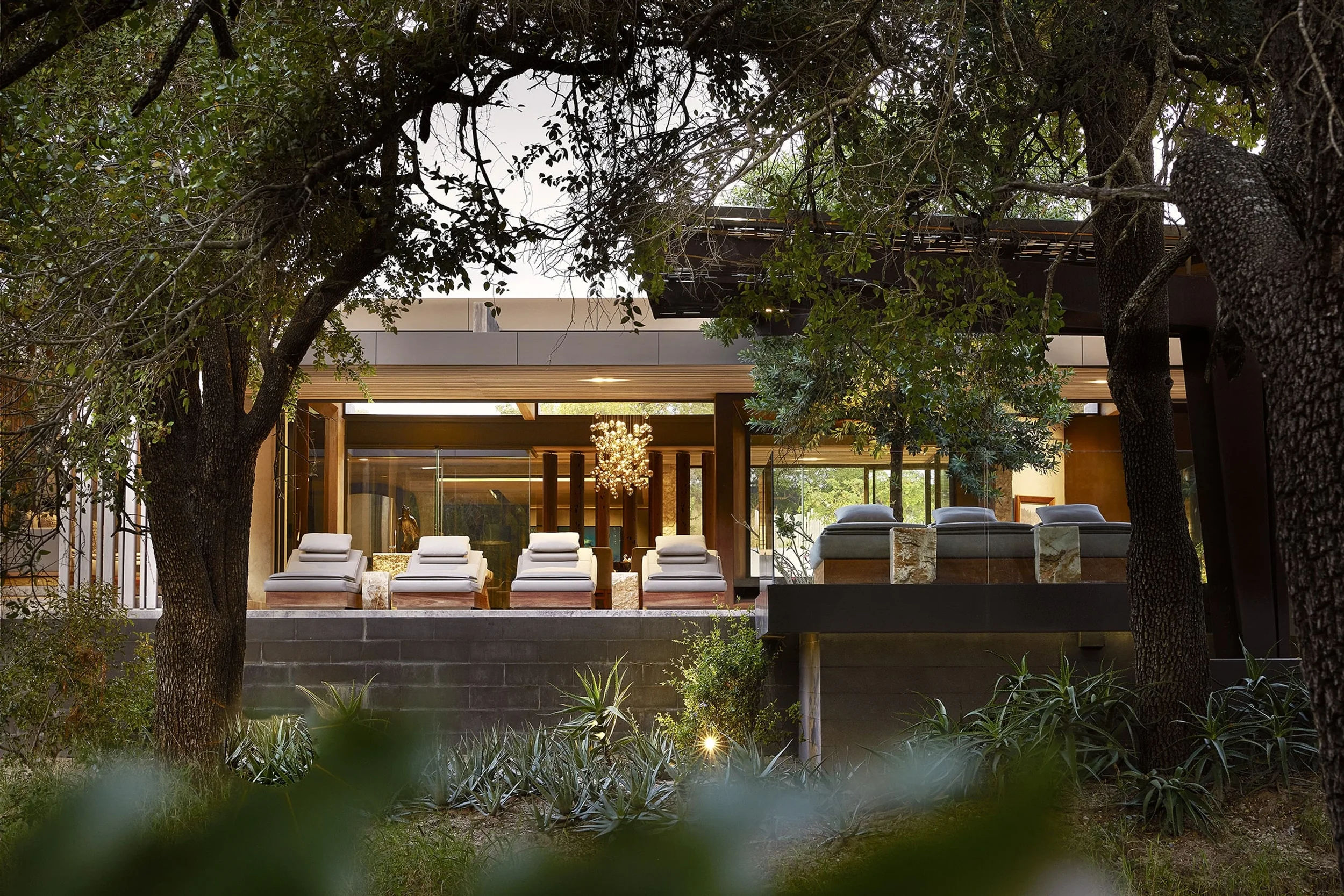 Cheetah Plains -  Safári de Luxo Africa