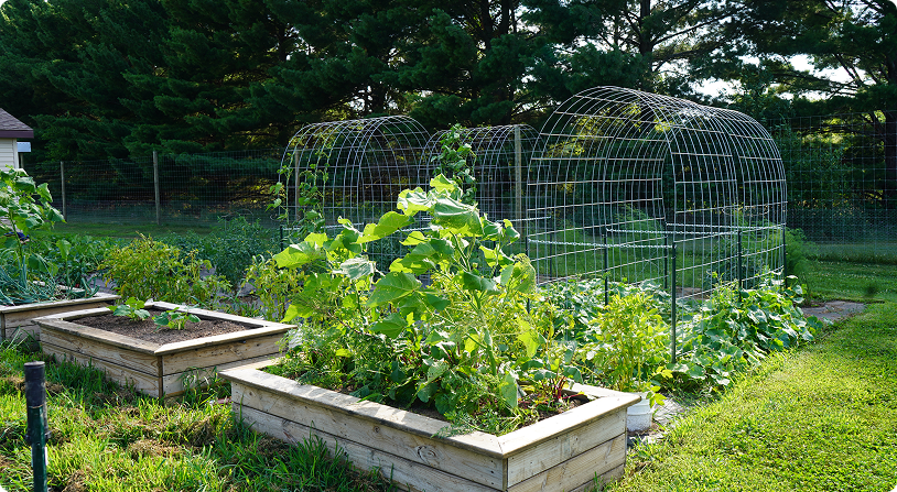"It's My Mission": The Garden That Keeps Feeding Chippewa County