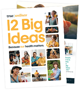 12 Big Ideas