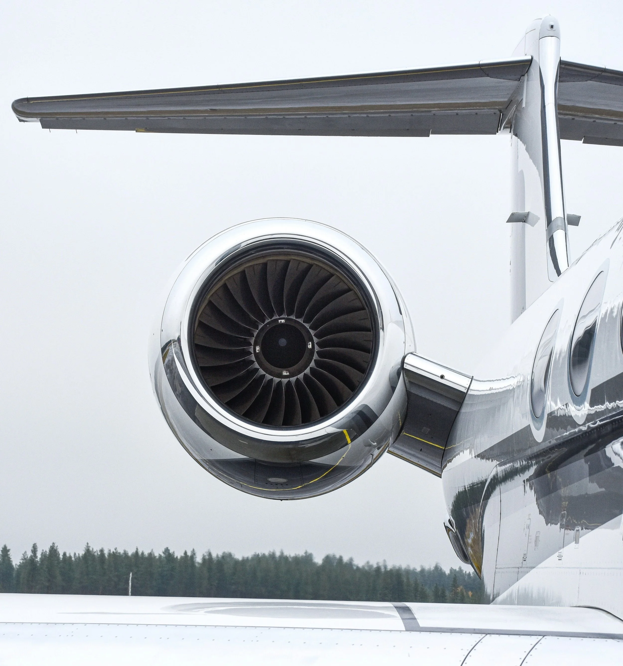 Close-up of a jet engine on the wing of an airplane, with a cloudy gray sky and a forested landscape in the background.