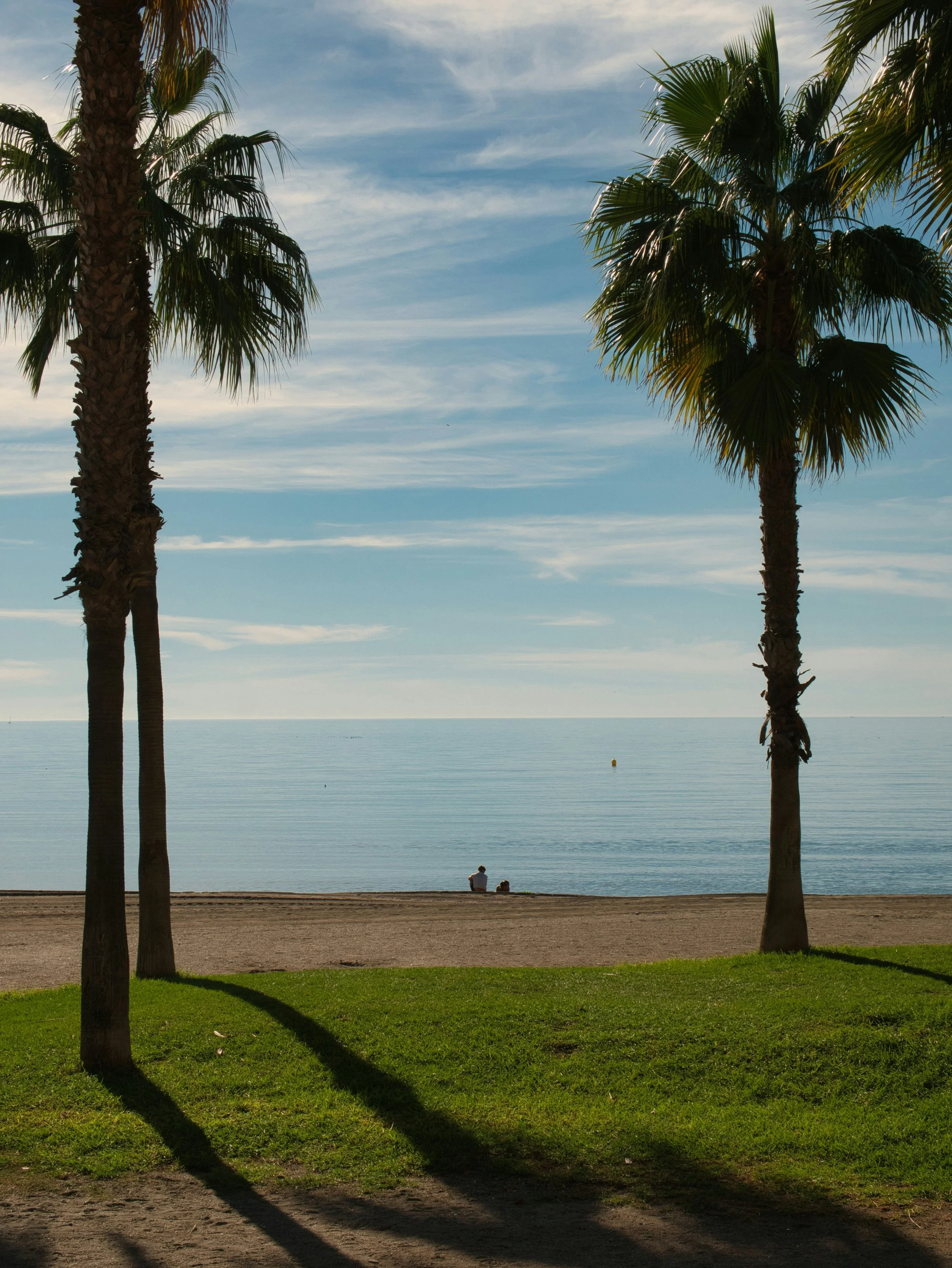 Two palm trees on a grassy area by a sandy beach overlooking the ocean with a person sitting on the sand and a small boat in the distance, under a partly cloudy sky.