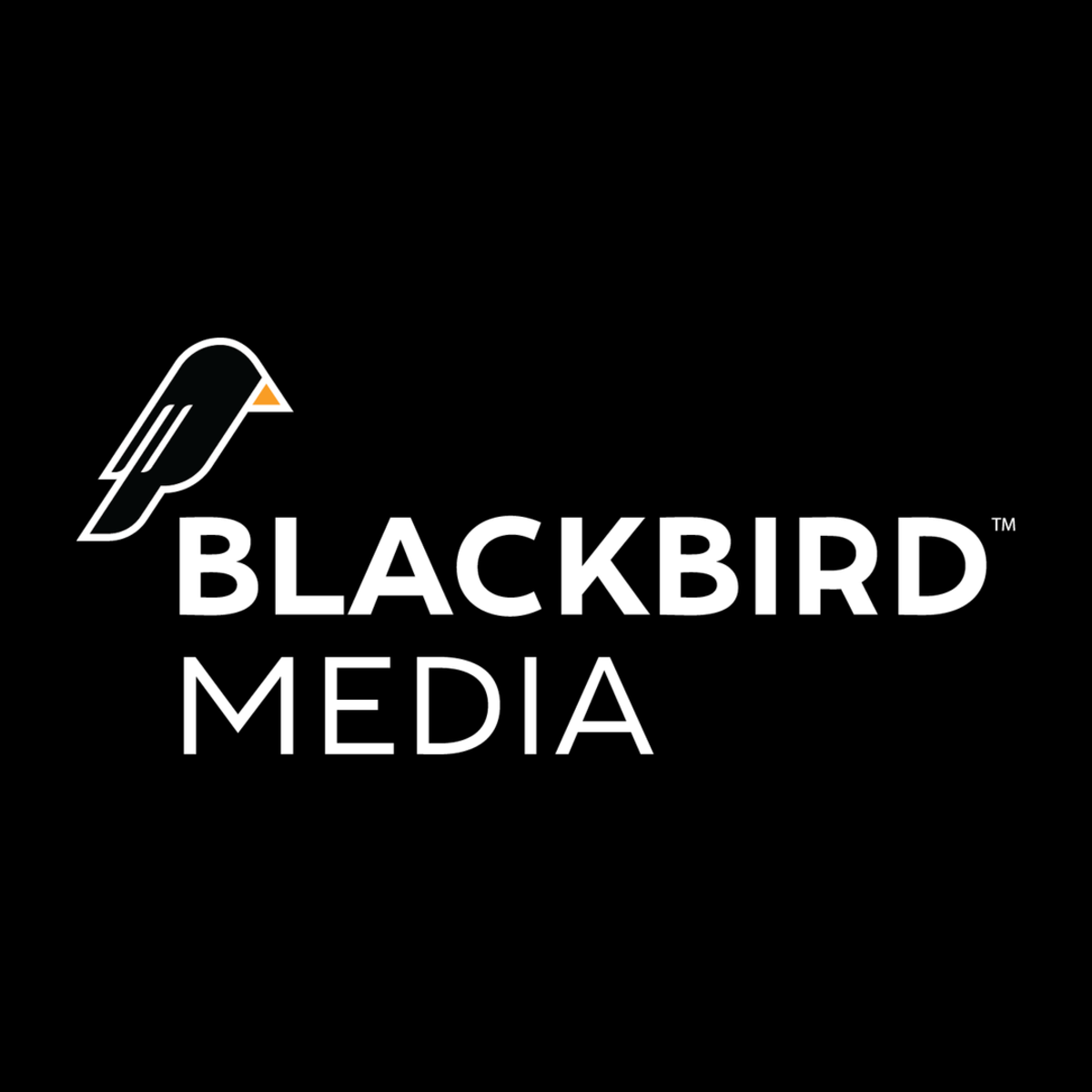 blackbird-media.png
