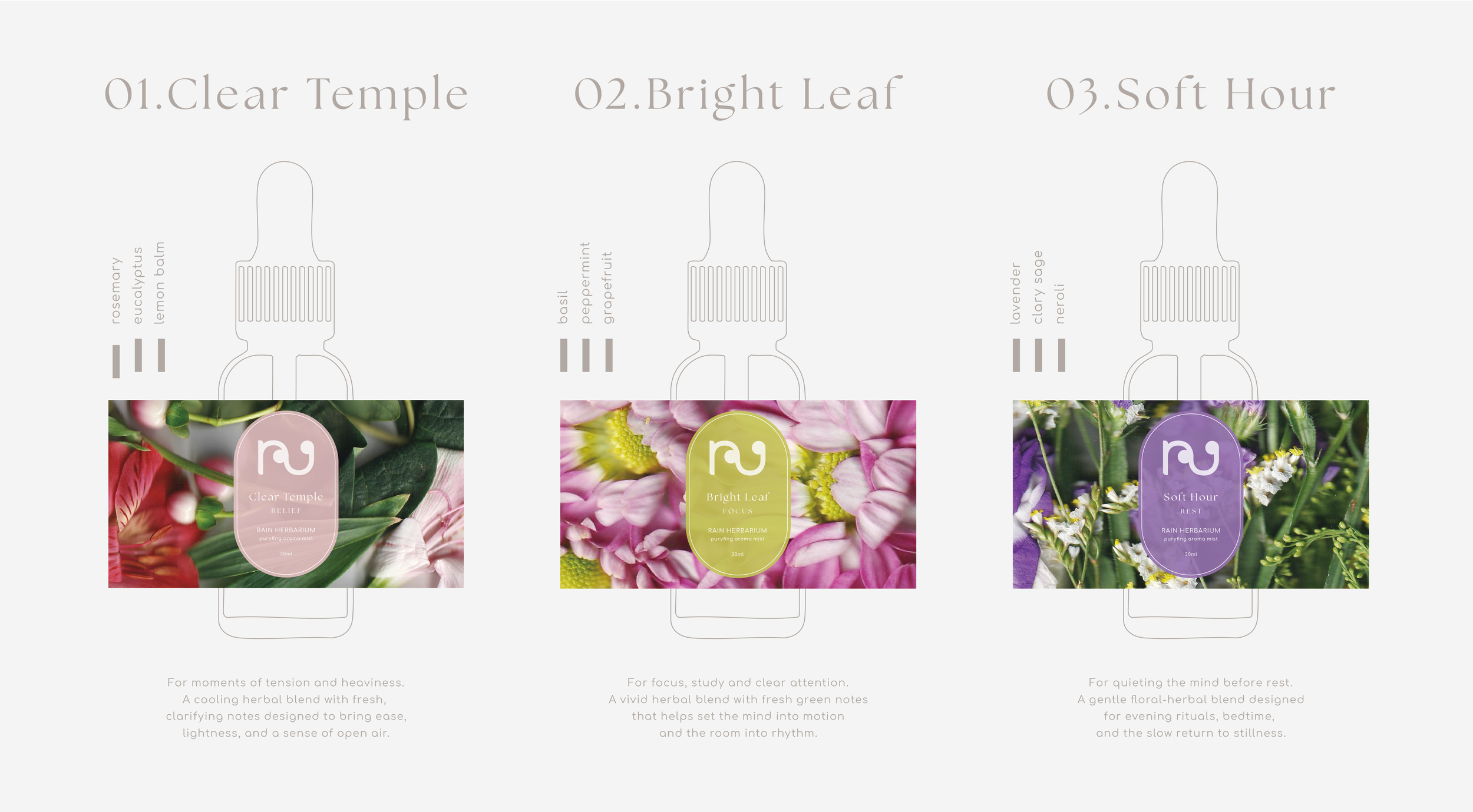 rain herbarium-02.png