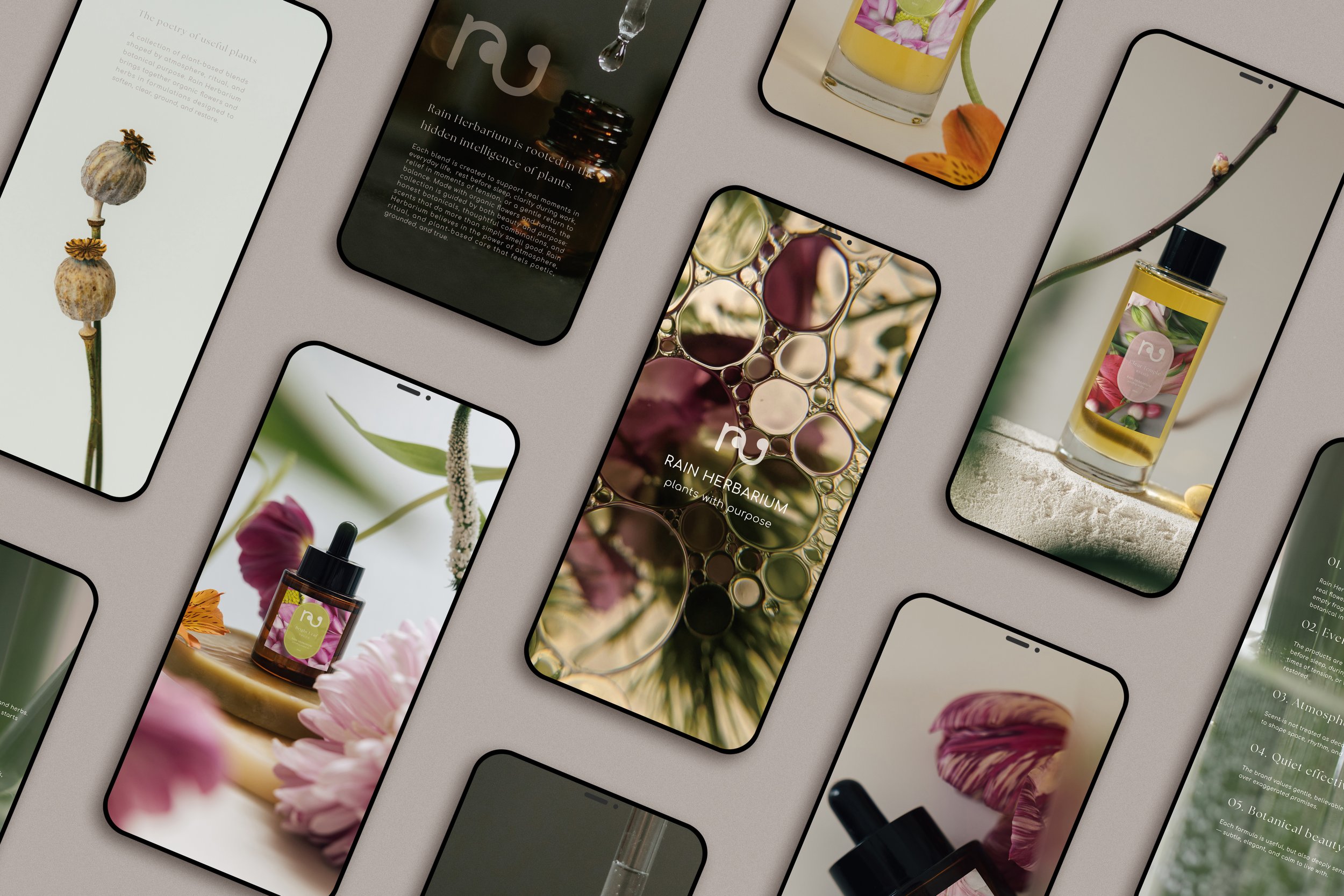 phone.jpg