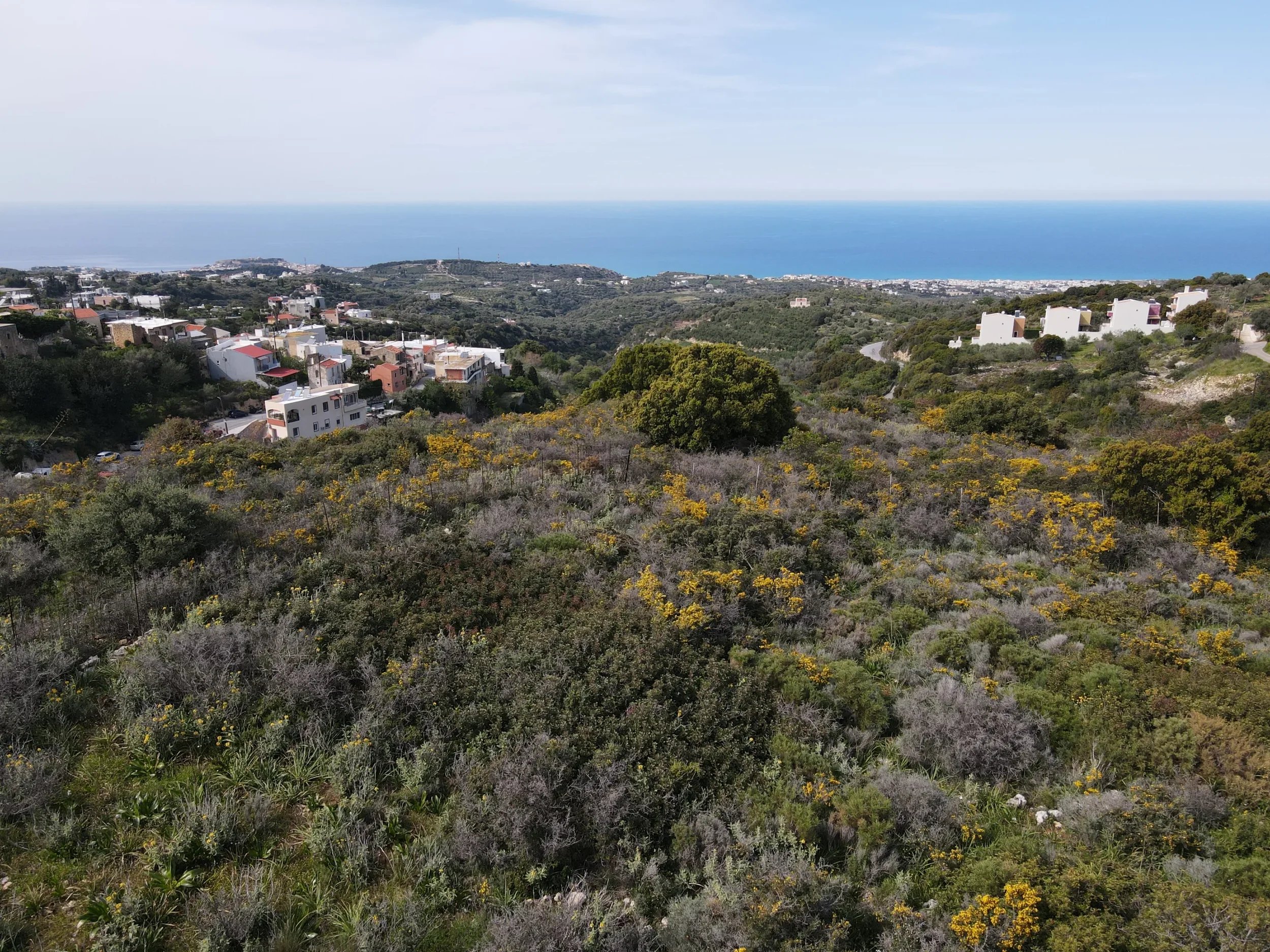 DJI_0321.jpg-scaled.webp