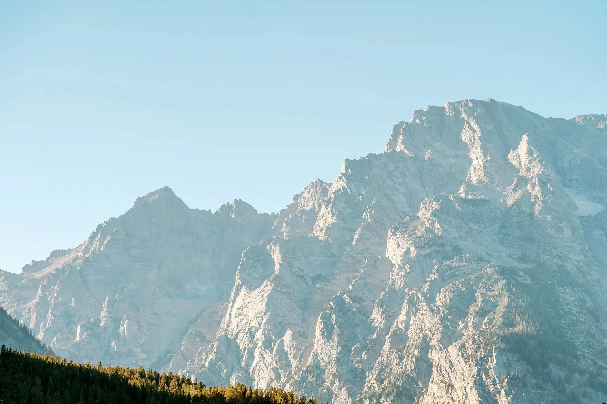 Snow-capped mountain peaks with clear blue sky and a forested hillside in the foreground.