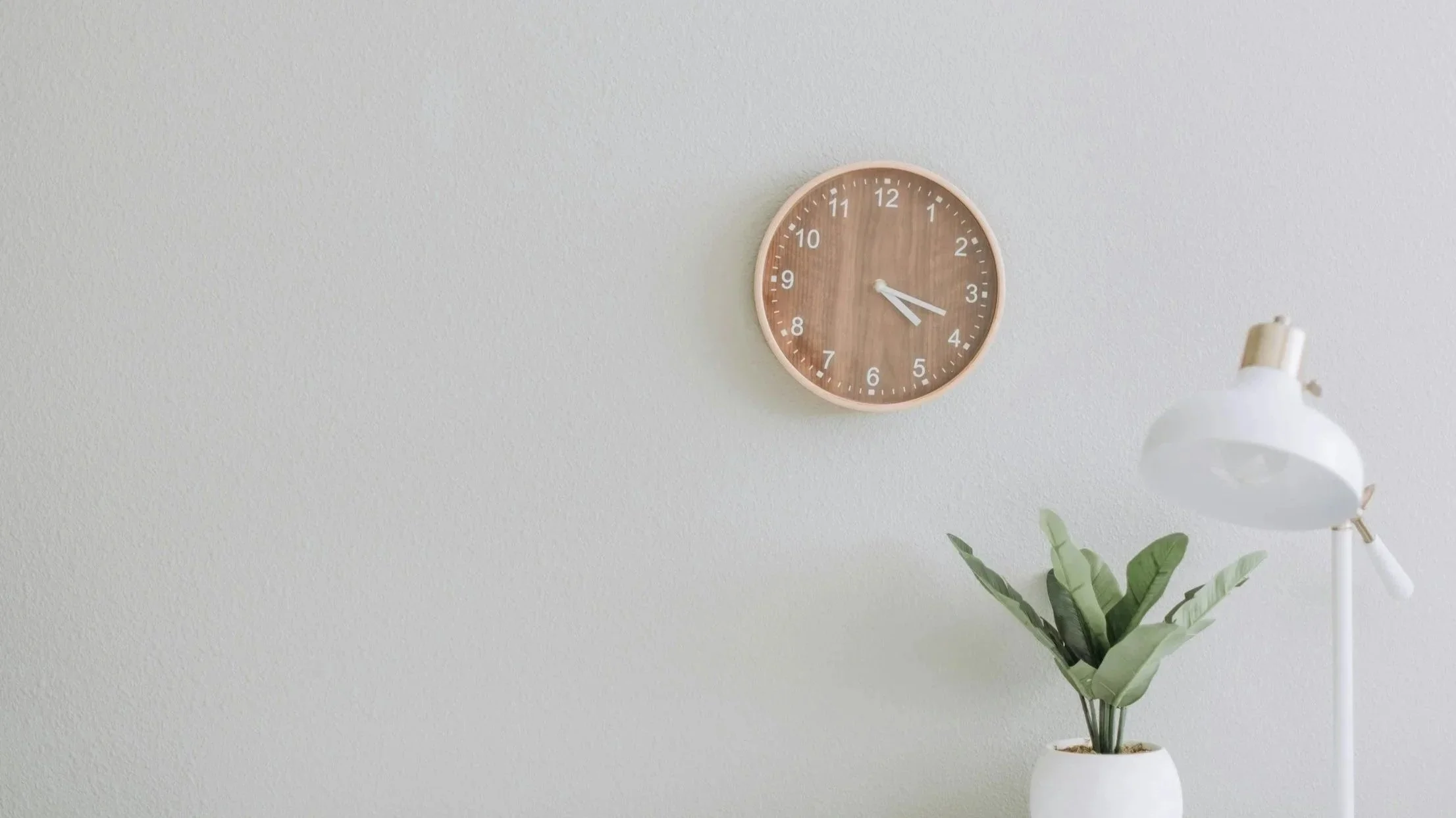 A wooden wall clock showing the time as 4:16, a white floor lamp, and a potted plant with large green leaves against a plain white wall.