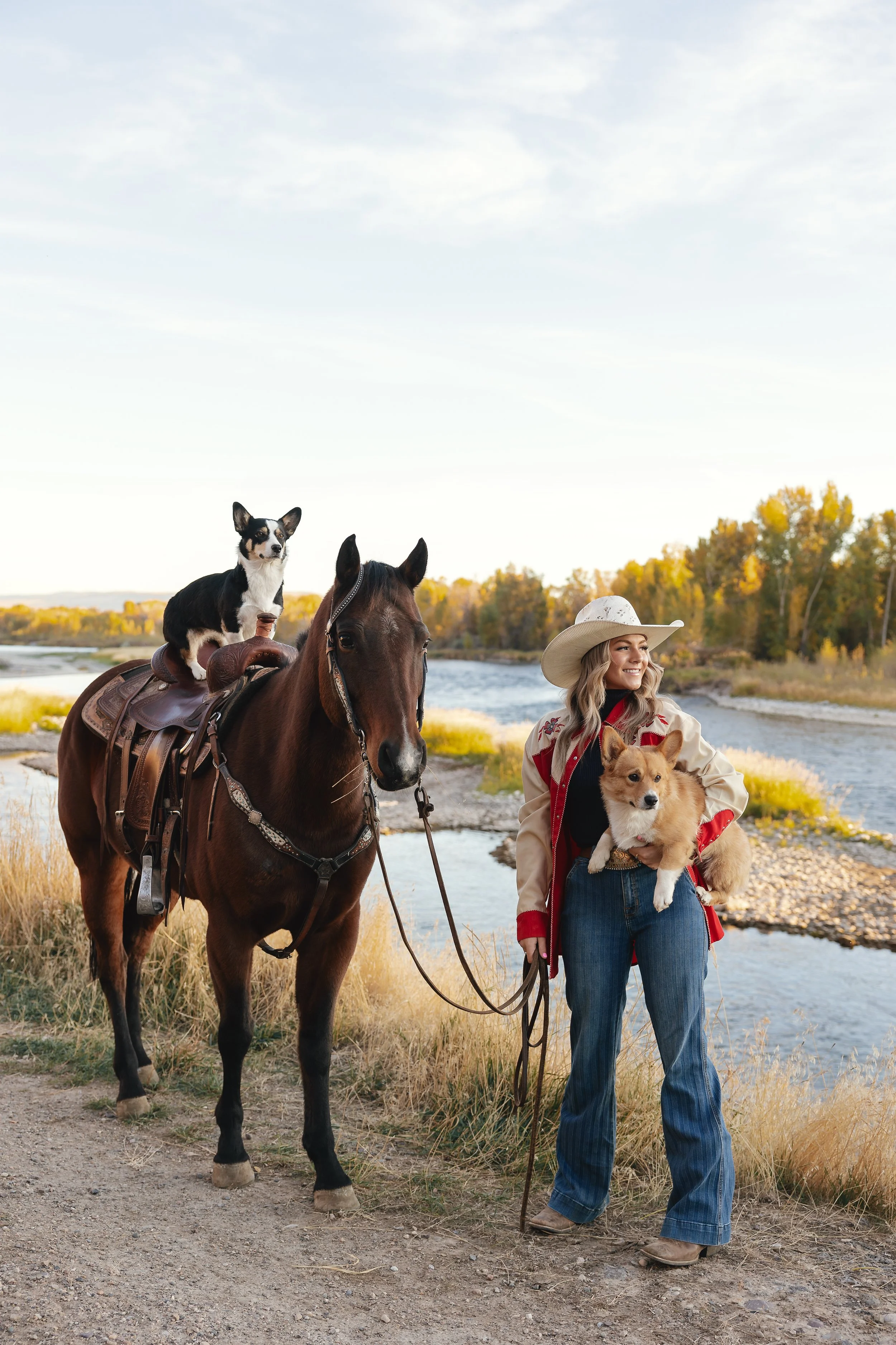 Heirloom high school senior equestrian portrait in Henderson landscape with dogs and natural lighting 