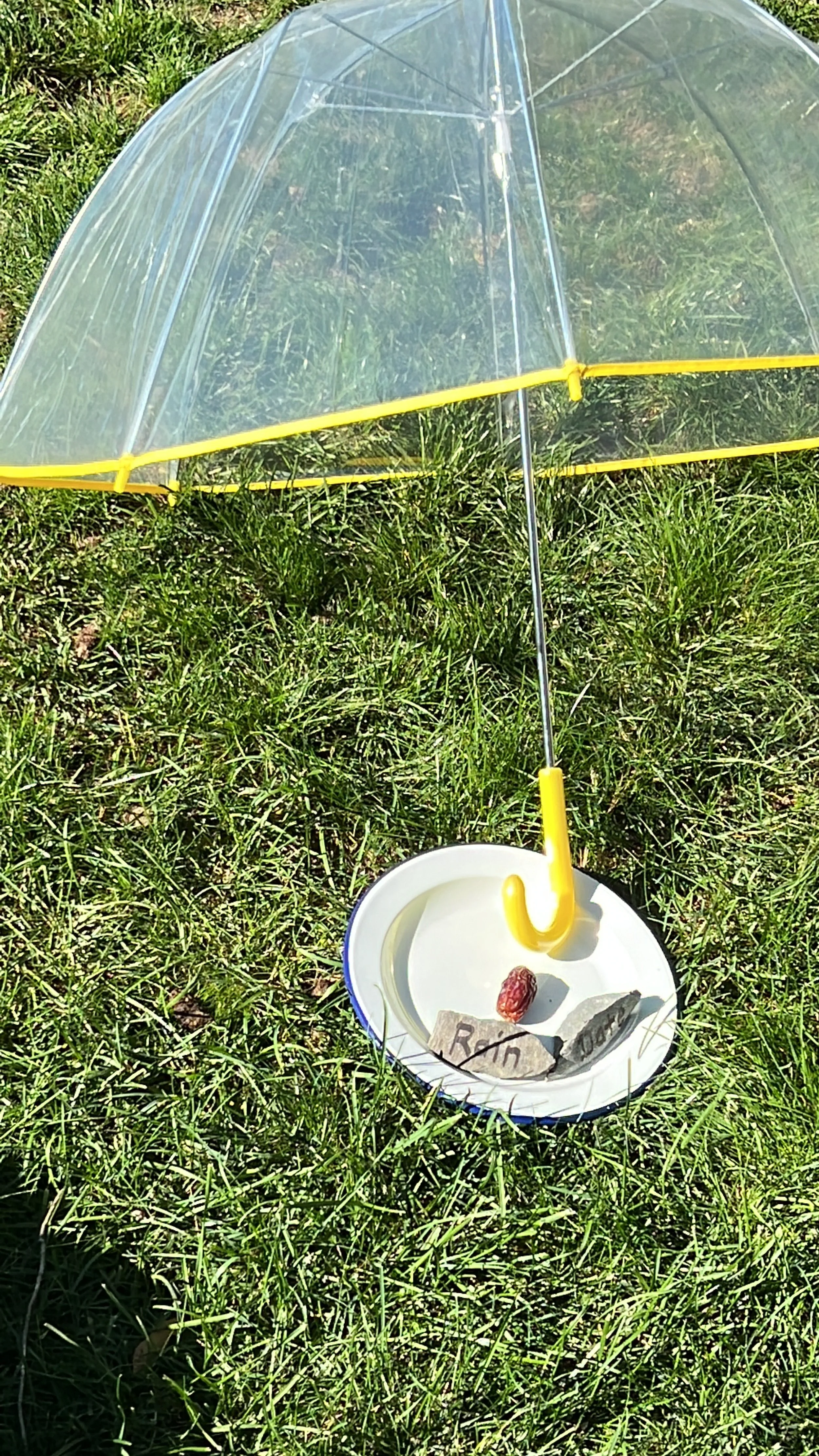 Jenny Gotfredson and Cam Roberts, 2022