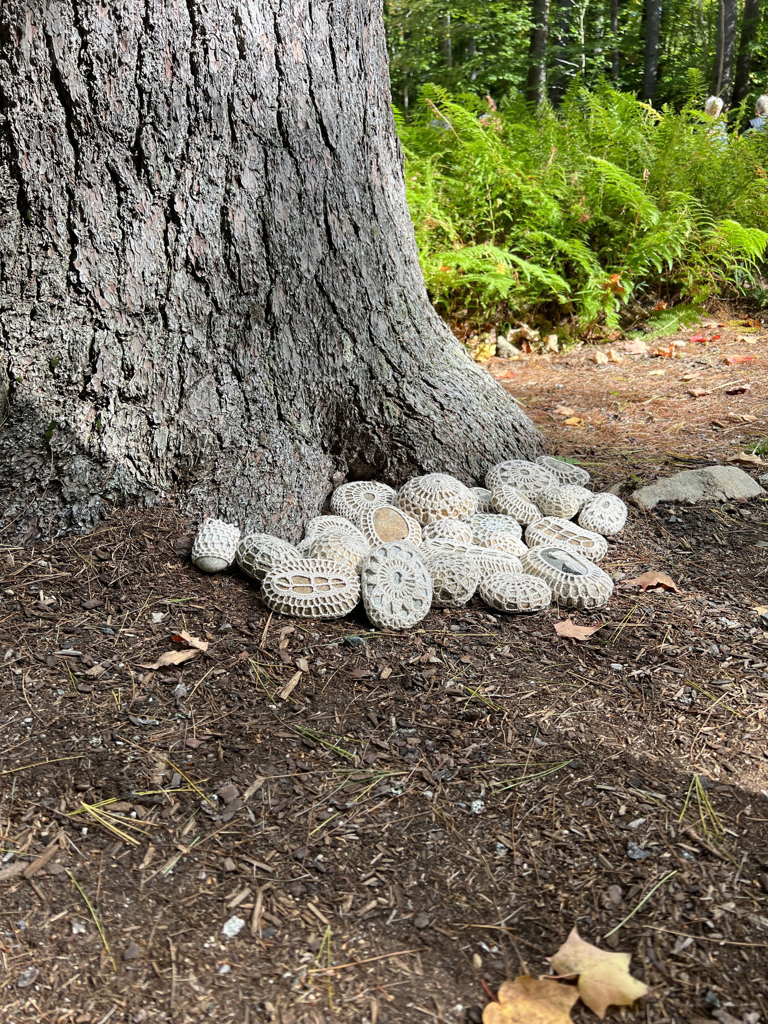 Meredith Gisness, 2022