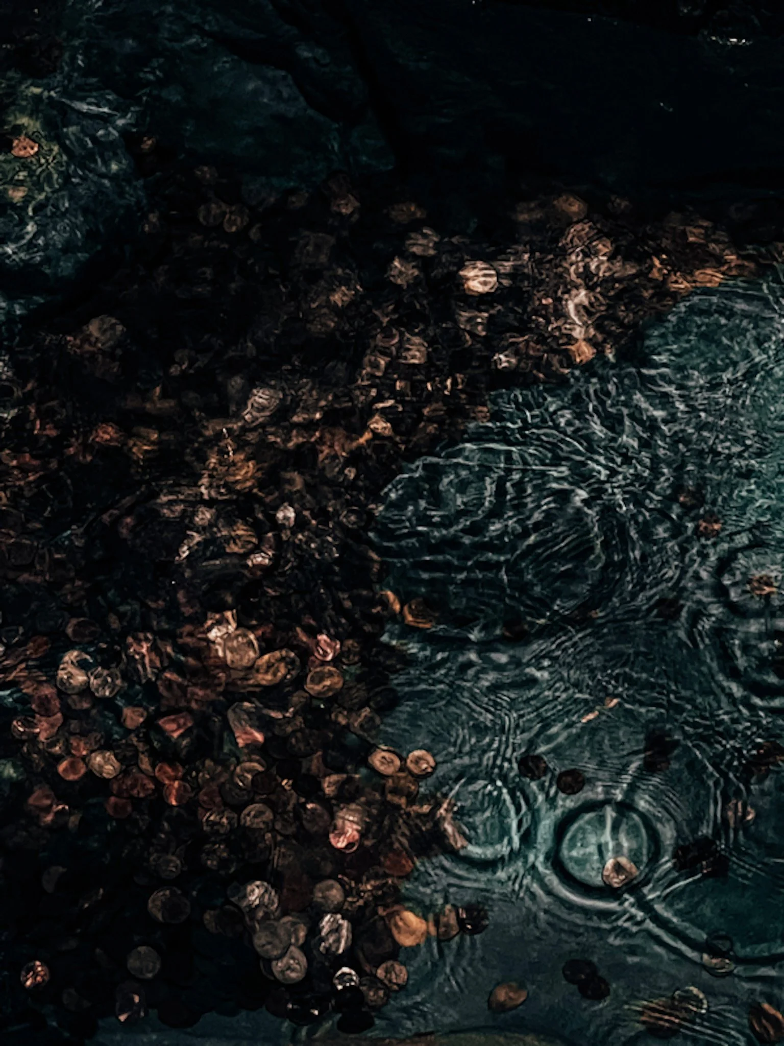 01.16.2022
E.T. Adventure, Universal Studios Florida, Orlando, FL