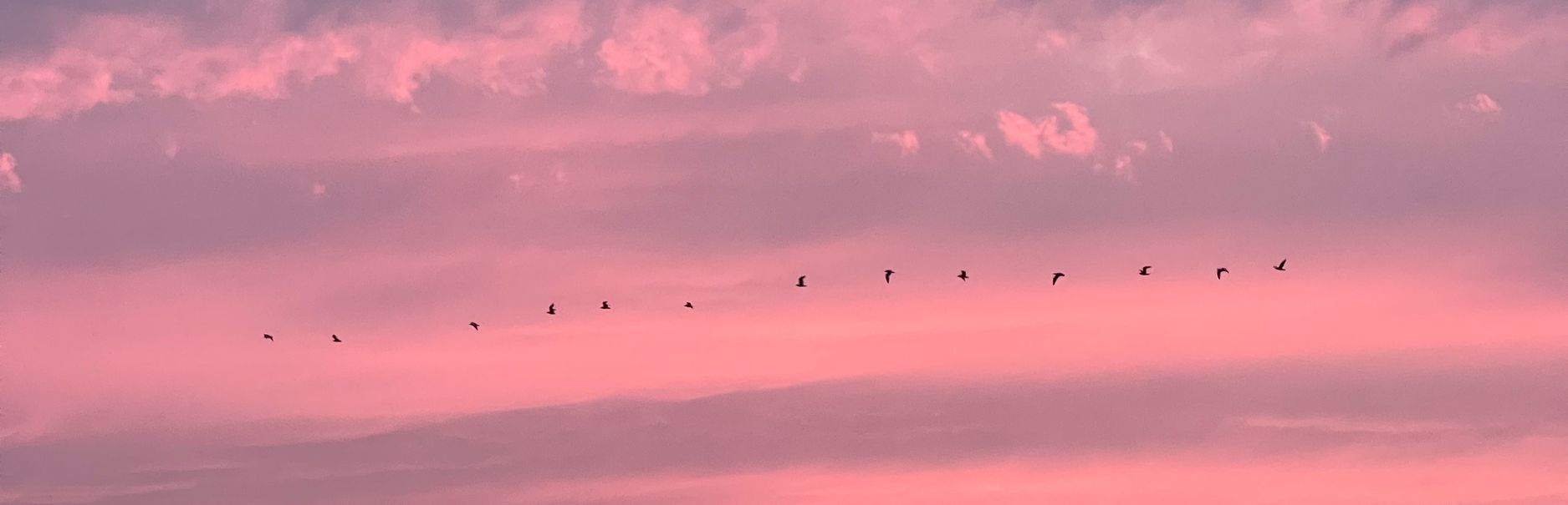 Cape May, New Jersey, USA