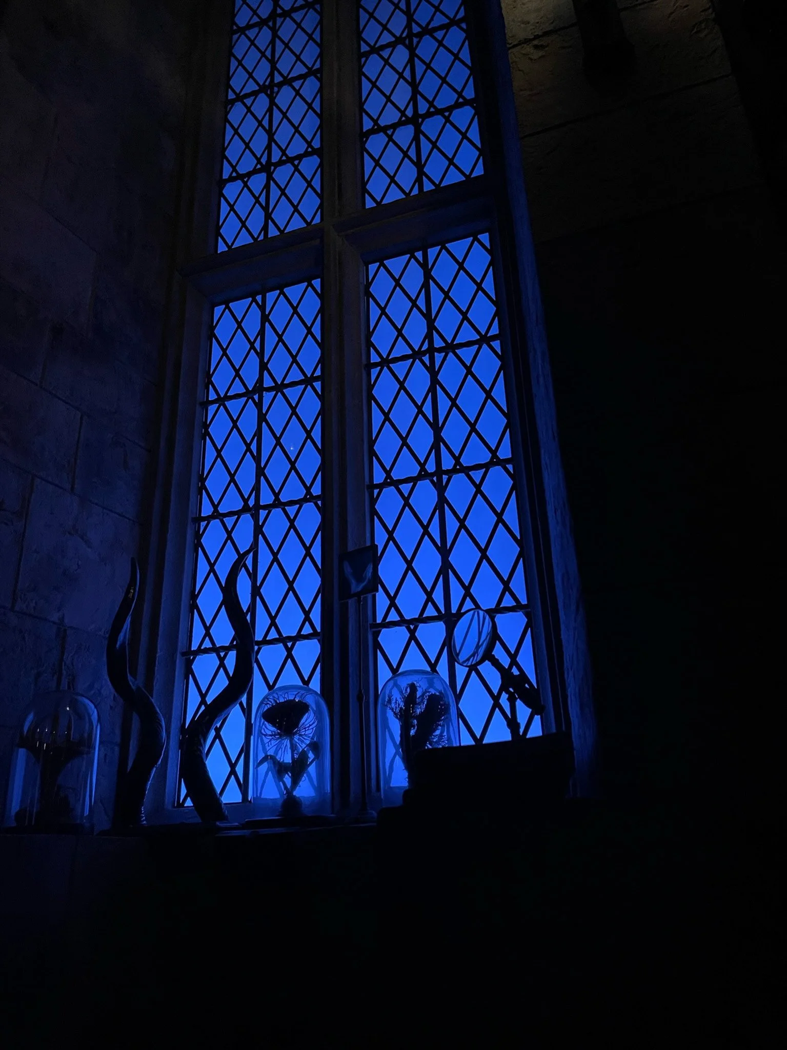 01.14.2023
Wizarding World of Harry Potter - Hogsmeade Universal Islands of Adventure, Orlando, FL