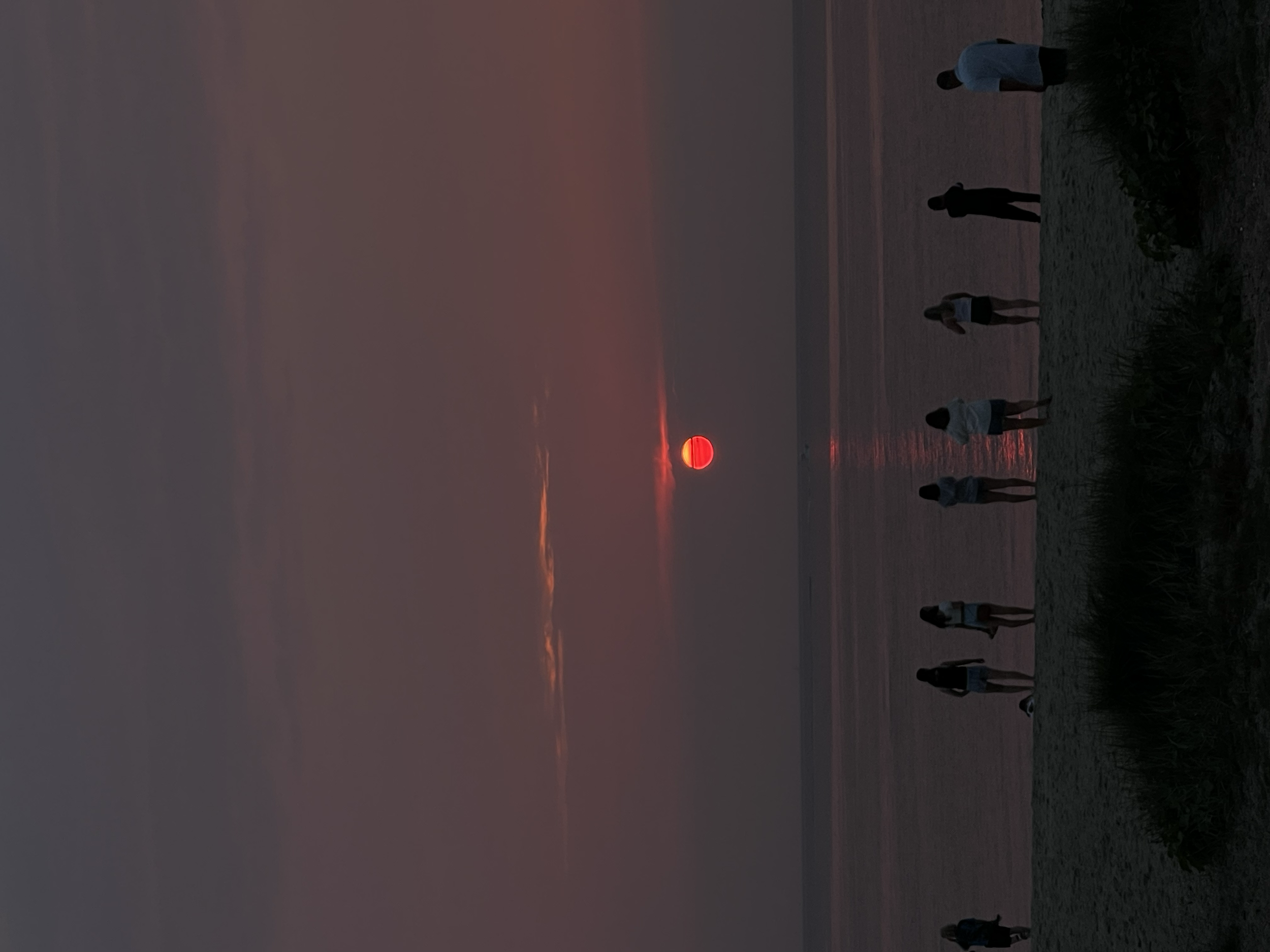 tempImageleVyaR.png