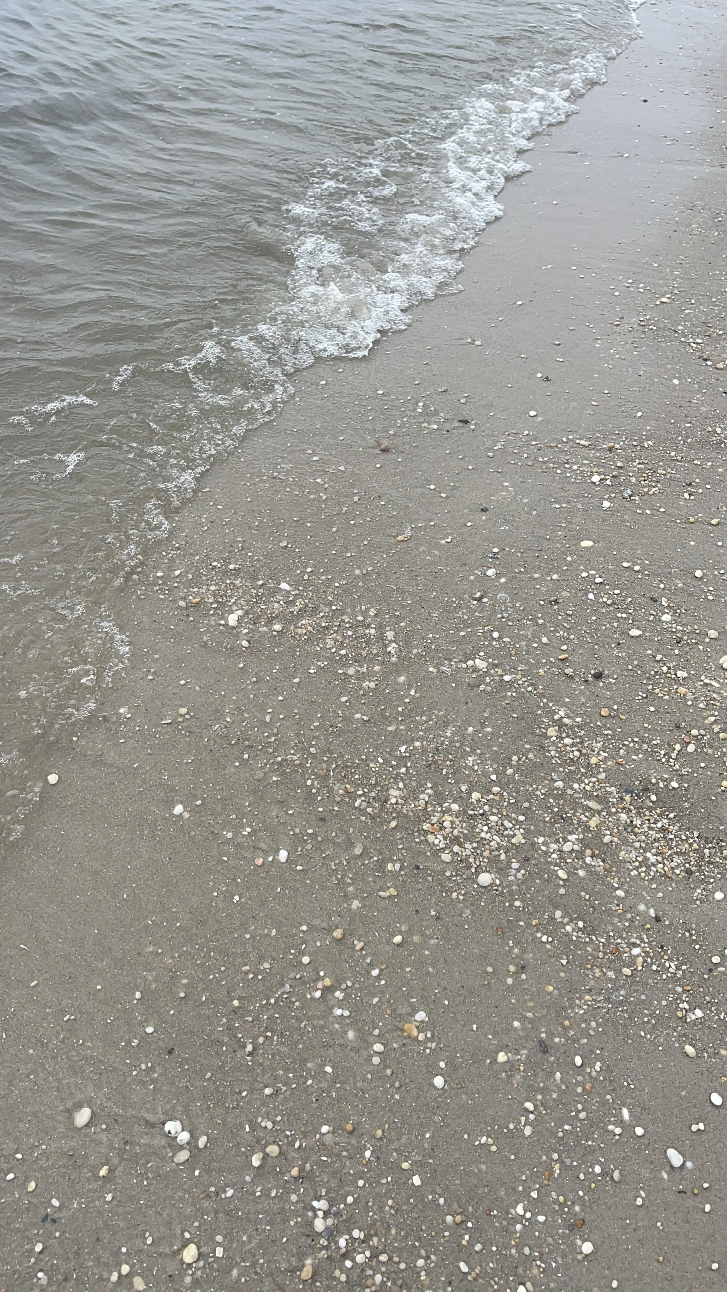 IMG_1639.JPG