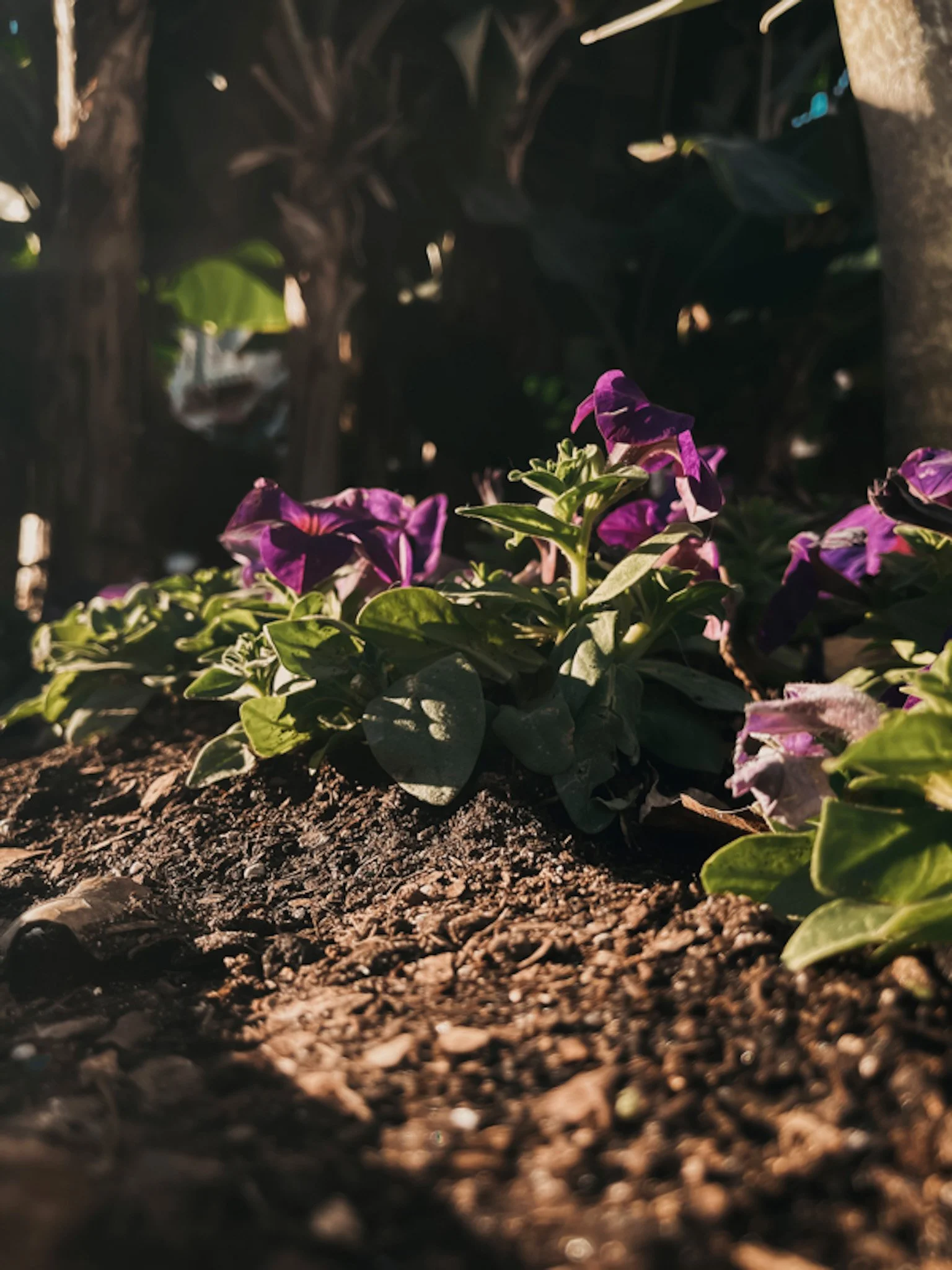 01.15.2022
Universal Islands of Adventure, Orlando, FL