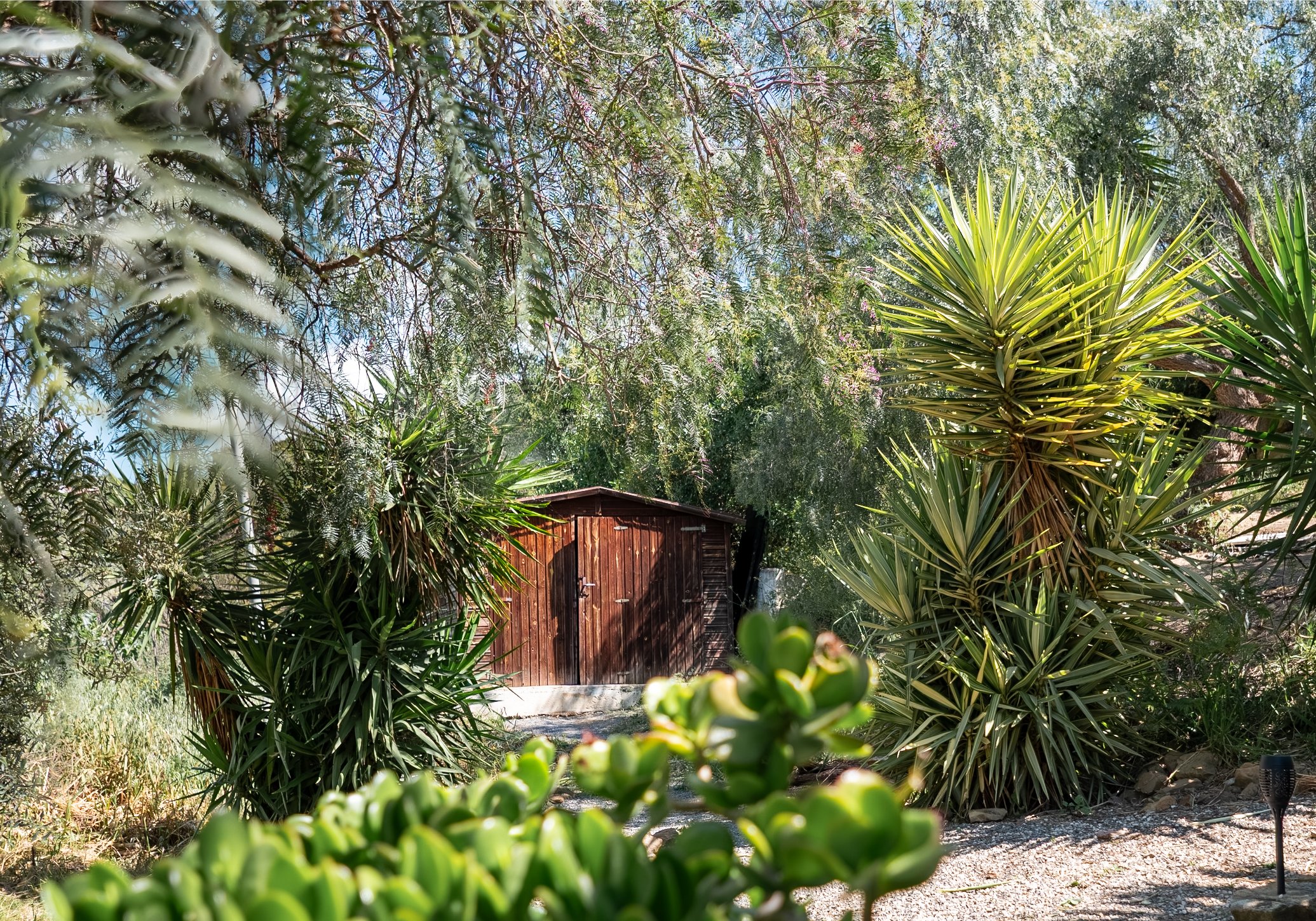 shed photo