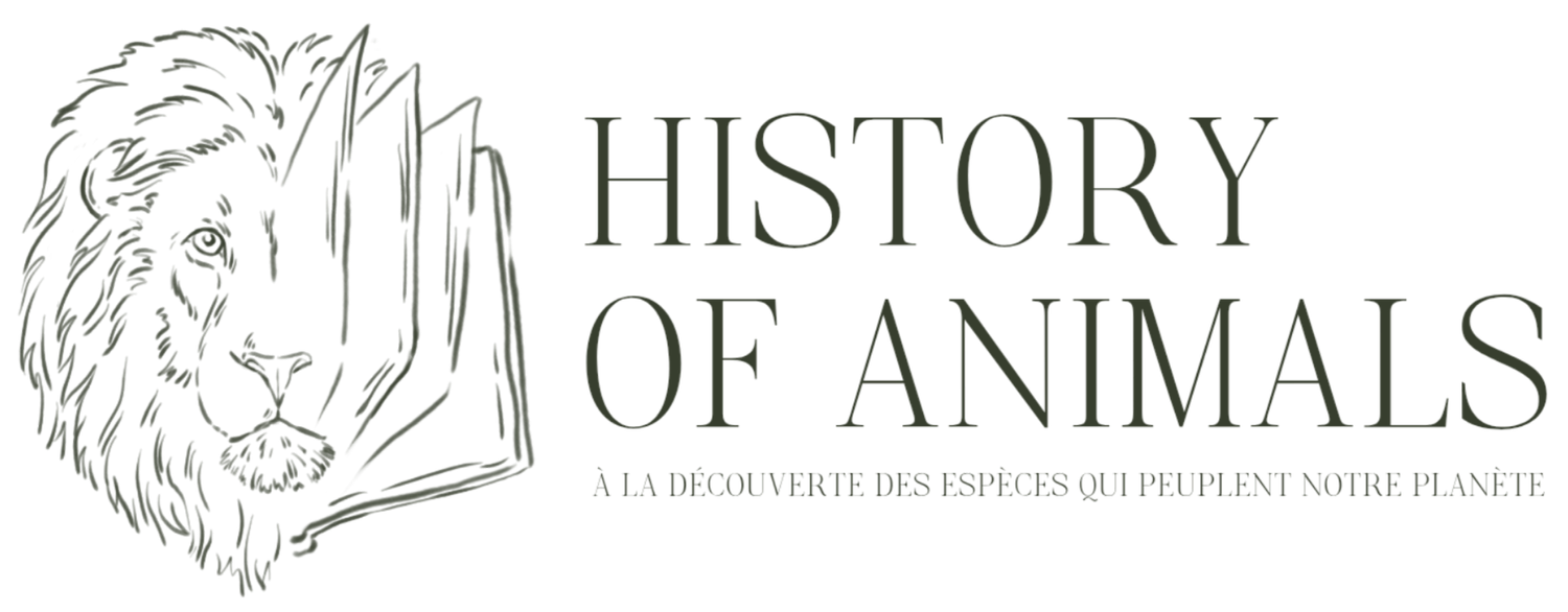 History of animals
