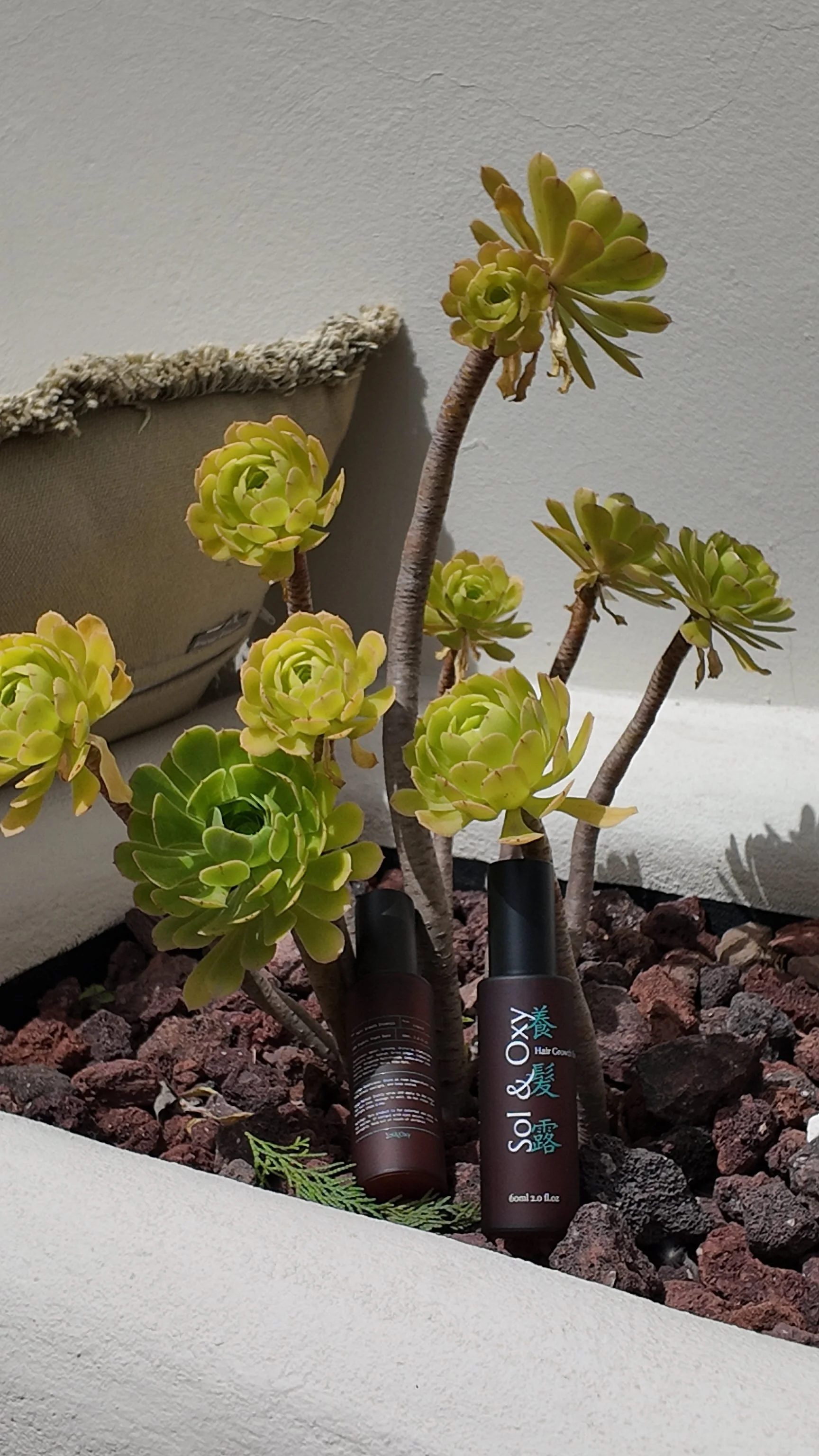 Hair Revitalising Essence 120ml (Duo pack)