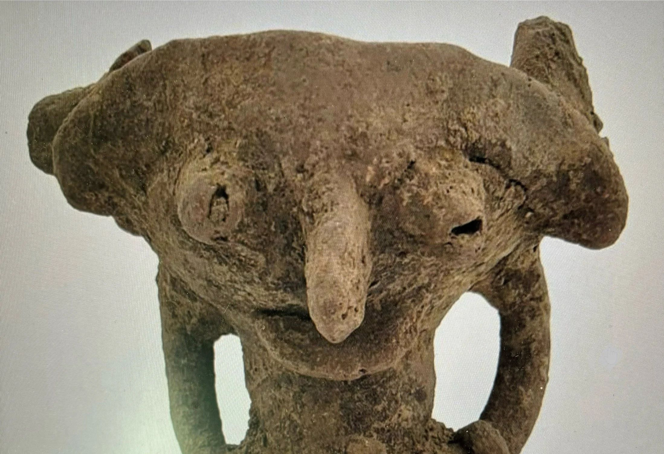 Ancient stone sculpture of a human figure with a detailed, expressive face, and a long nose, possibly from an archaeological site.