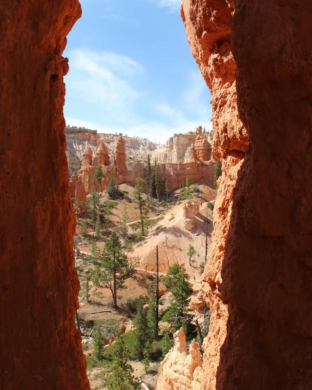 A bird’s-eye view through a Northern New Mexico canyon, revealing a quiet hiking trail nestled in the rugged landscape.