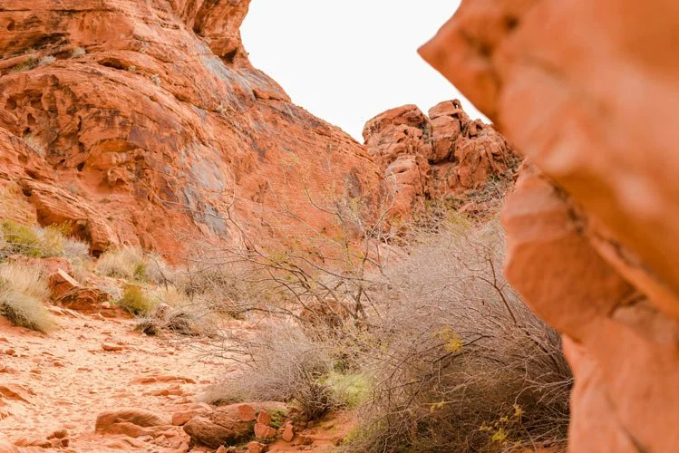 Rugged landscape.
