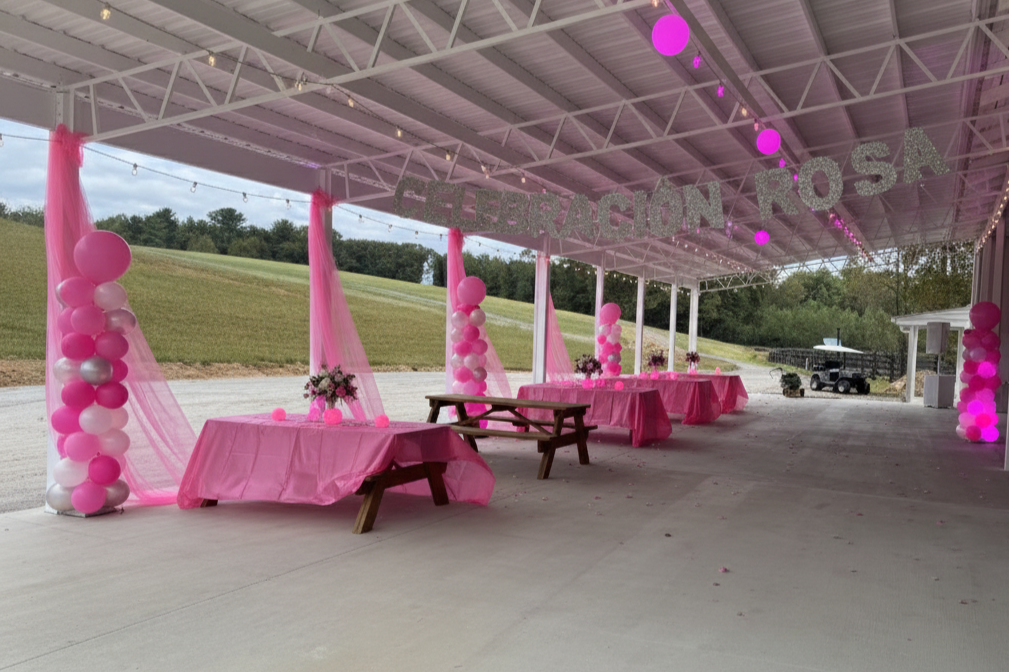 Decorated outdoor pavilion for a celebration with pink tables, balloon arrangements, pink drapes, and a sign that reads 'Celebración Rosa' in glittery letters.