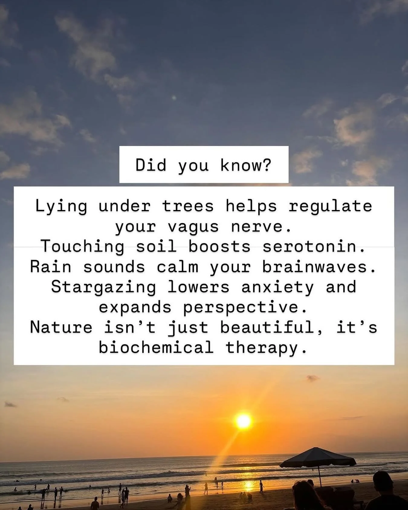 ✨💛Happy Wellbeing Wednesday friends💛✨

☀️🦋🌲🌊Opt outside to ground yourself🍁🌴🌙🌺 

🫶🏼Love this from &bull; @calmconnection_holistic 🫶🏼

&ldquo;Your body remembers what your mind forgets
that you&rsquo;re part of nature, not separate from i