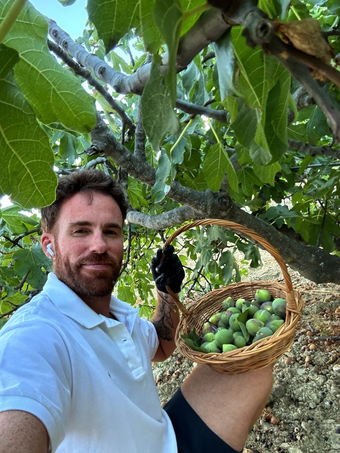 A man with a beard, wearing a white shirt, black glove, and earbuds, taking a selfie under a fig tree while holding a basket of green figs.