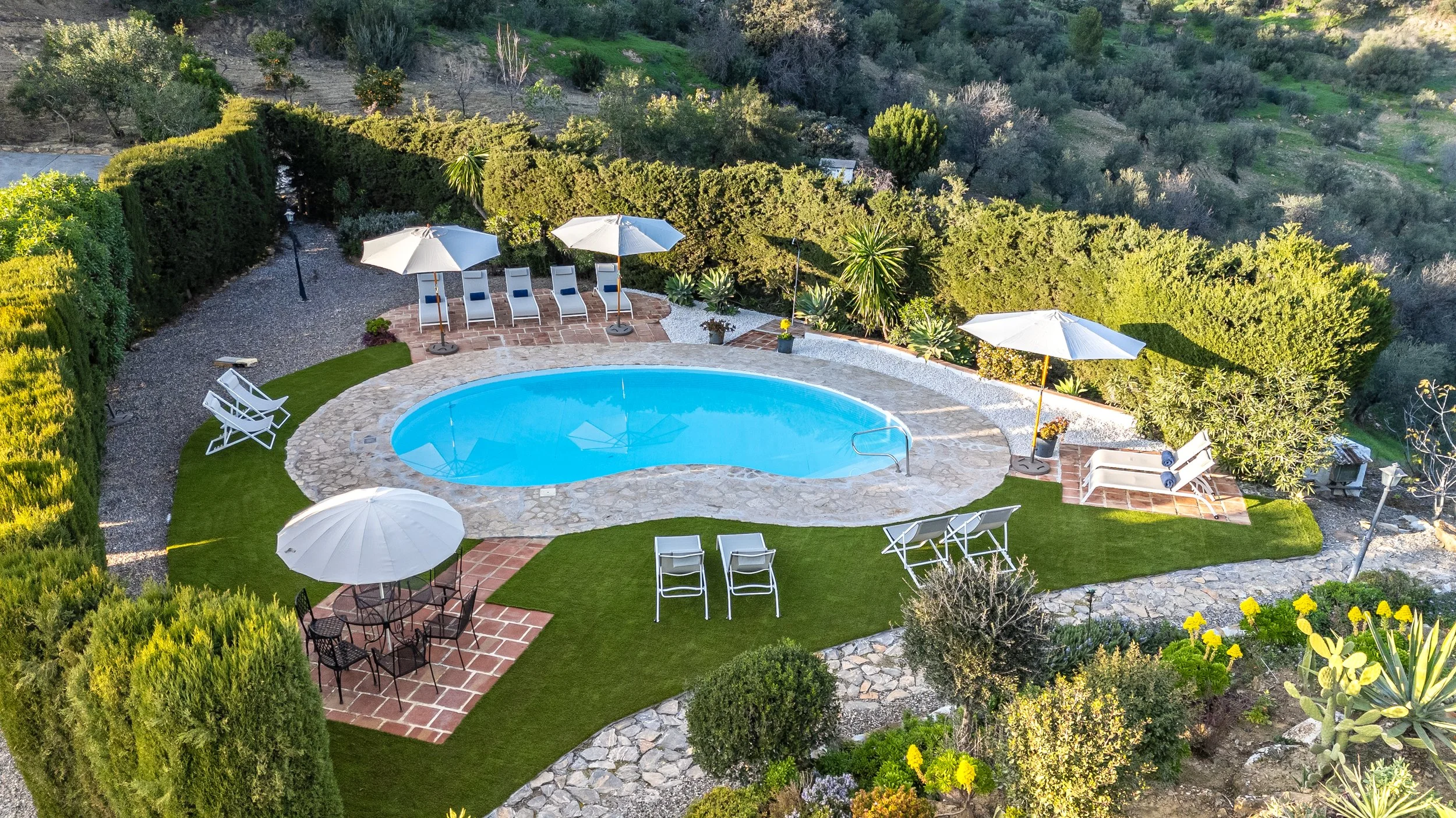 A backyard with a swimming pool surrounded by lounge chairs, umbrellas, and lush greenery, with hilly terrain in the background.