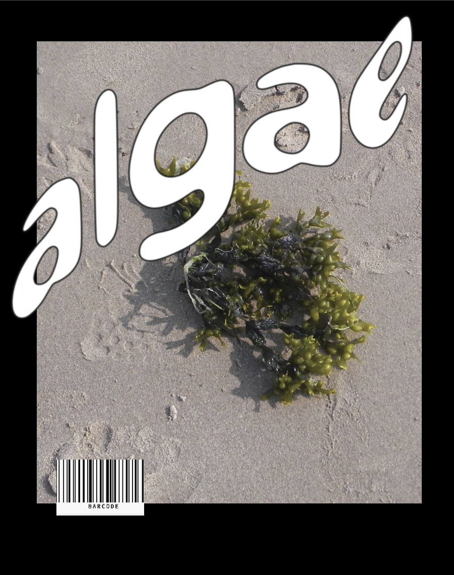 IMG_7076.png