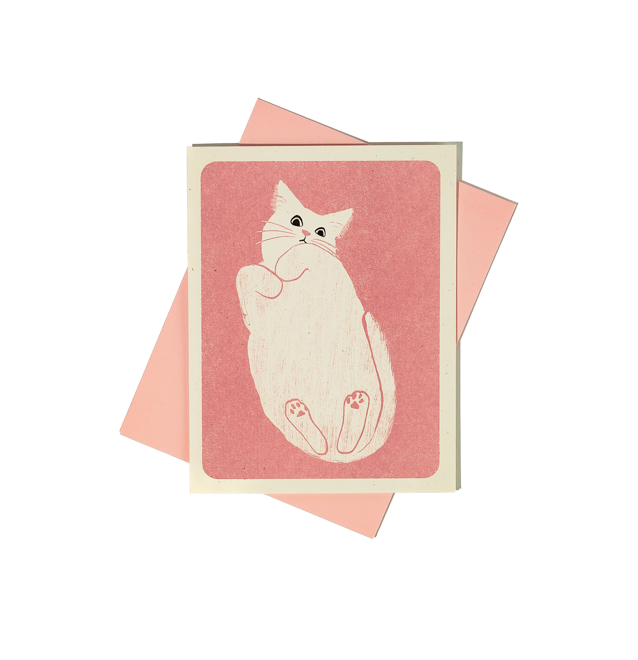 whitecat.png