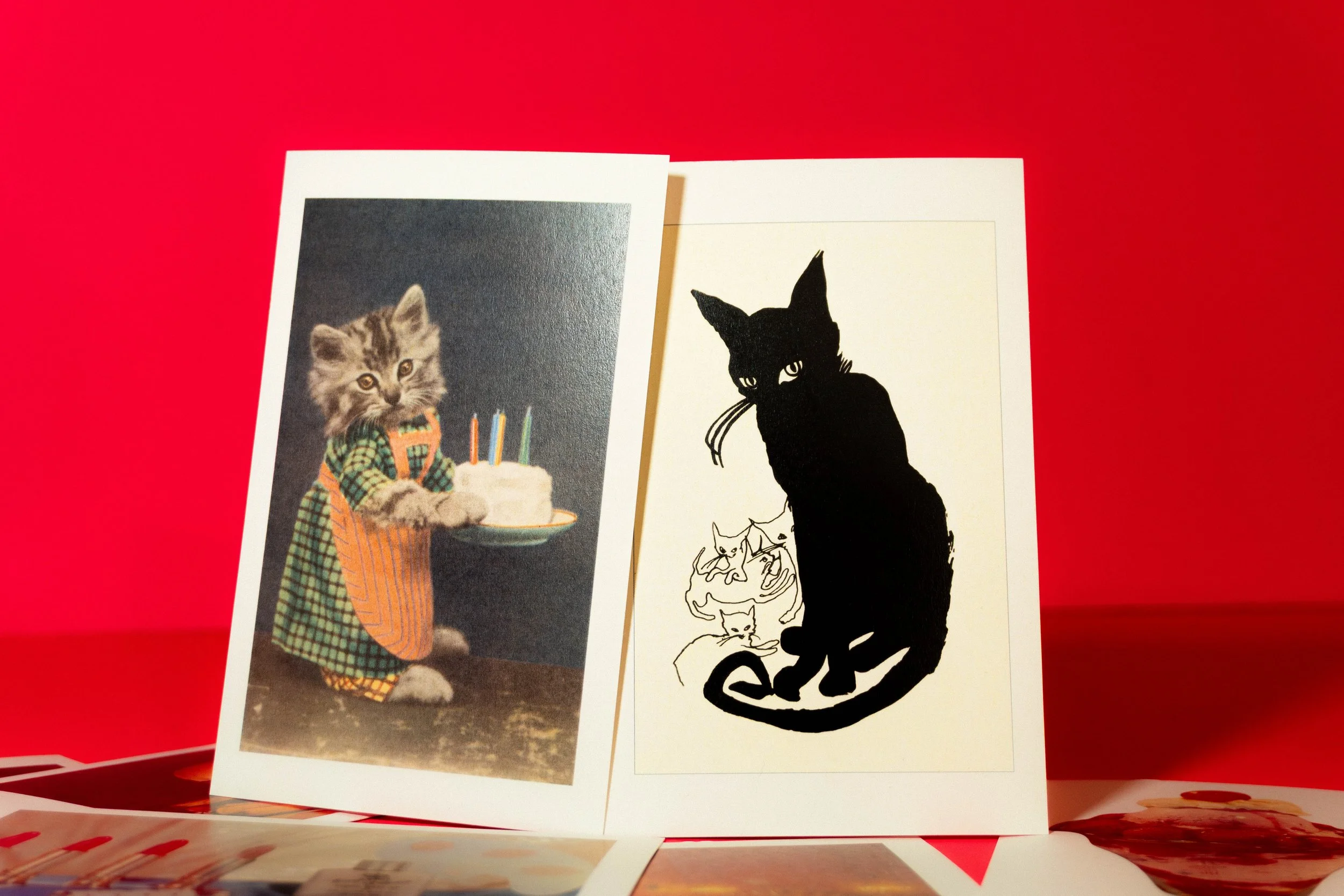 Kitties Postcard Set - Found Image Press