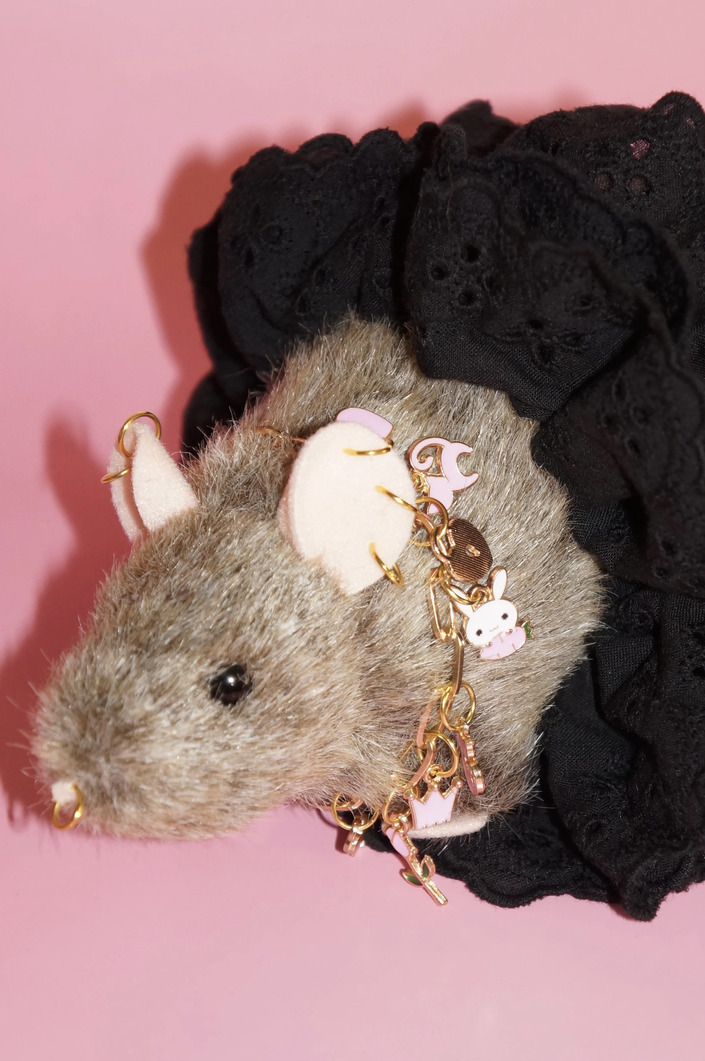 DSC01917.JPG