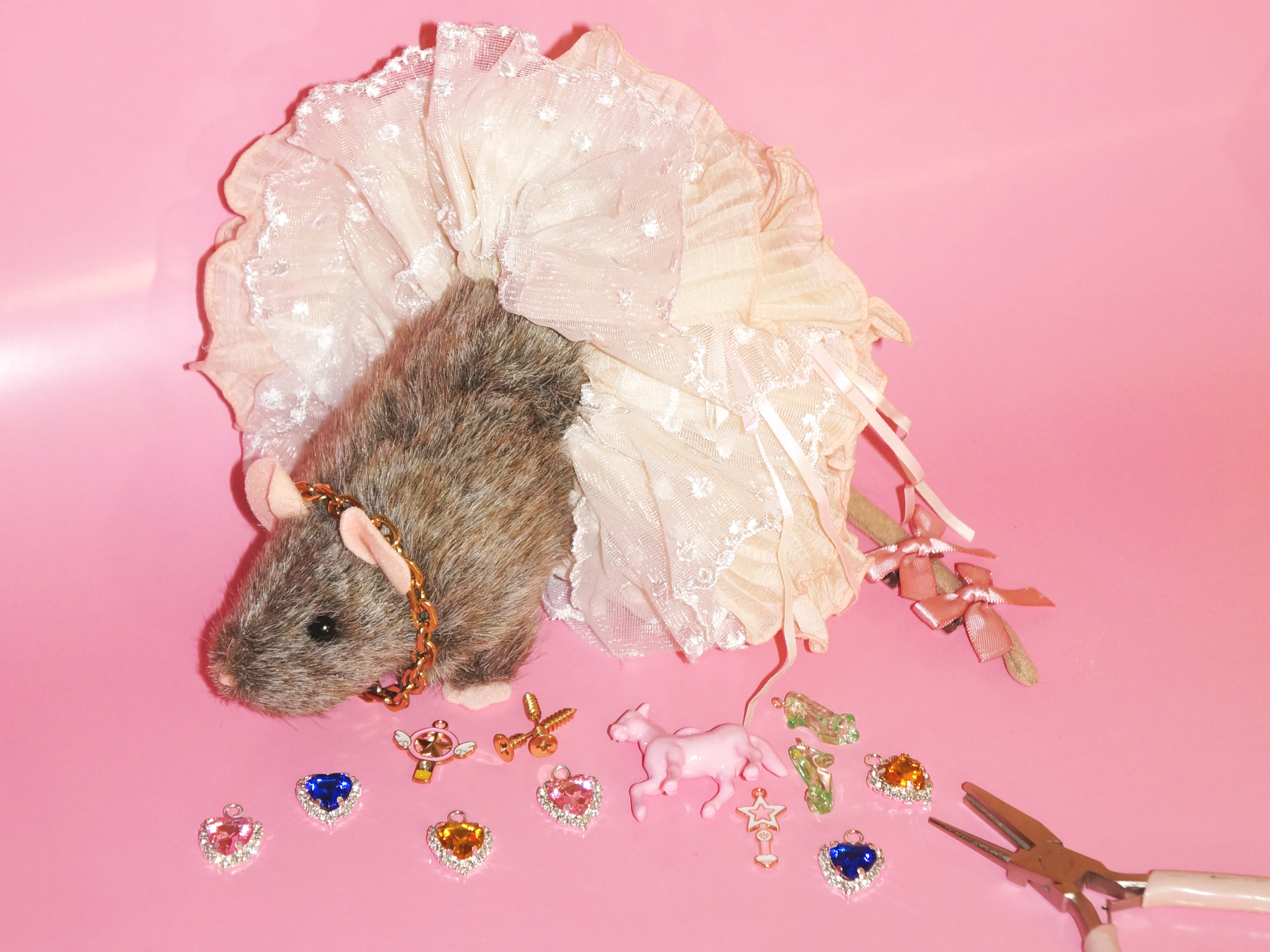 Build-A-Rat™️