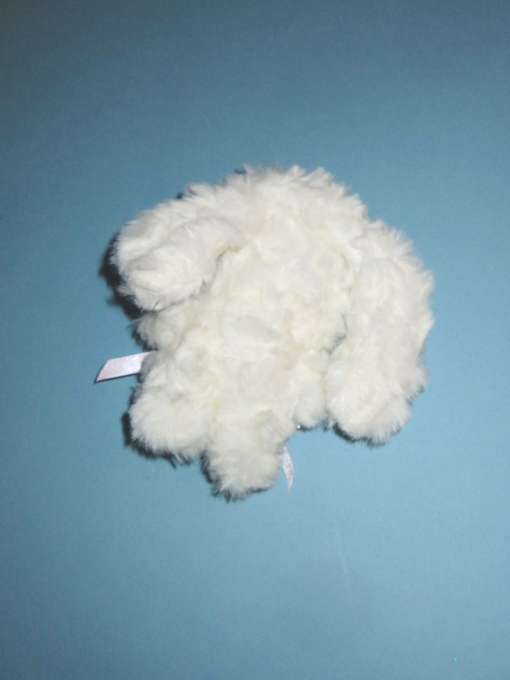 IMG_7224.png