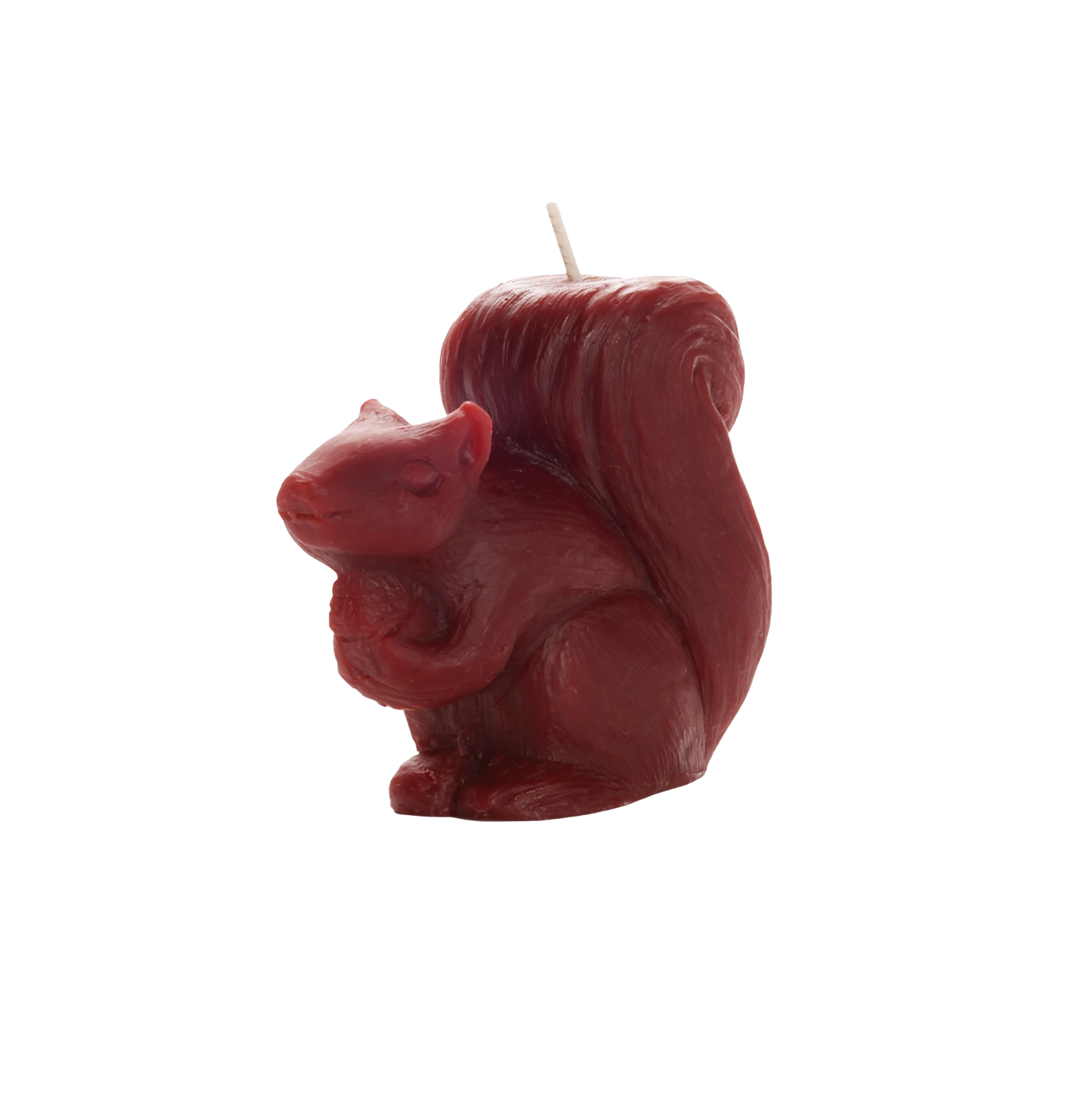 squirrel.png
