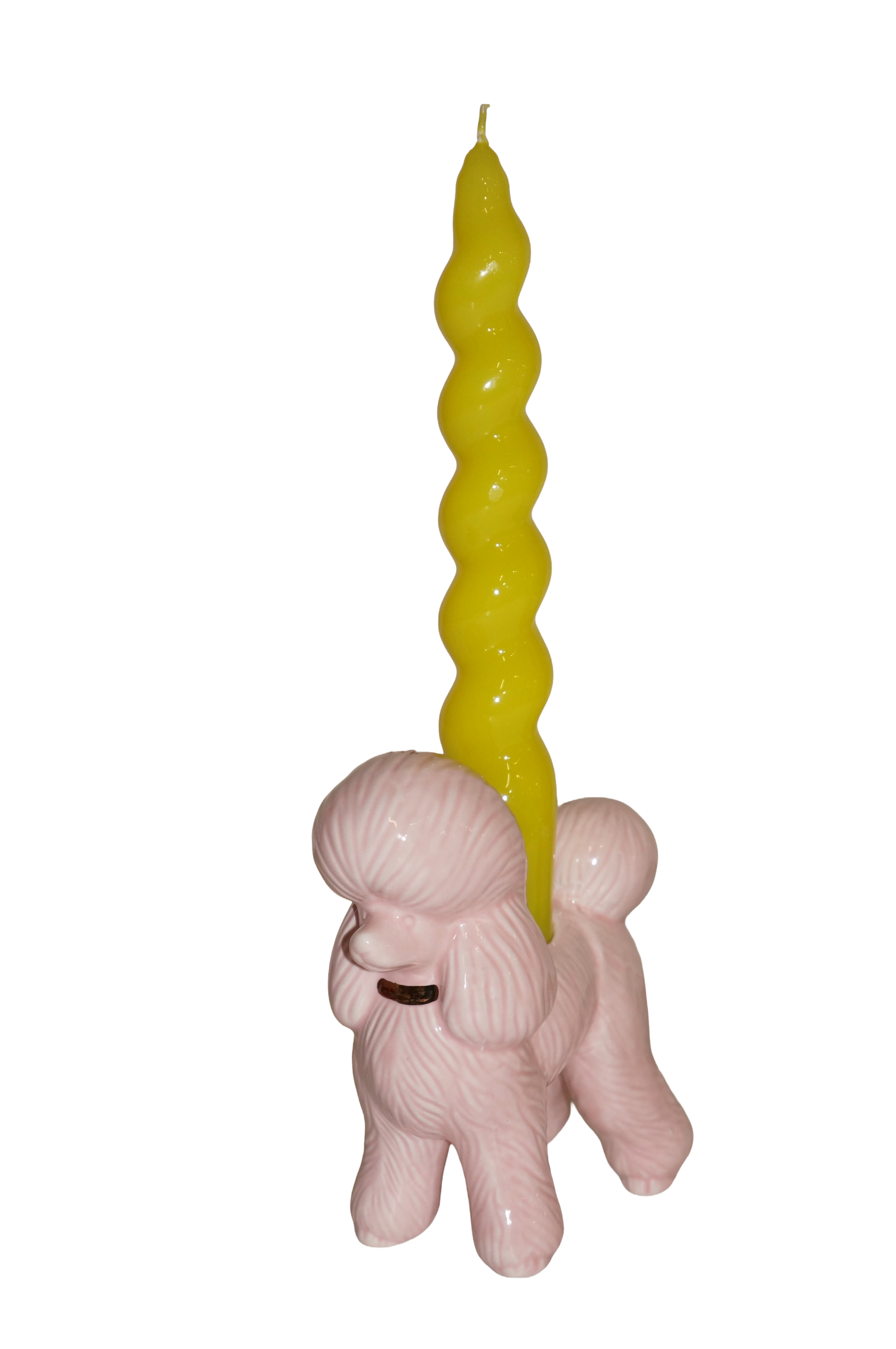 dog2.png