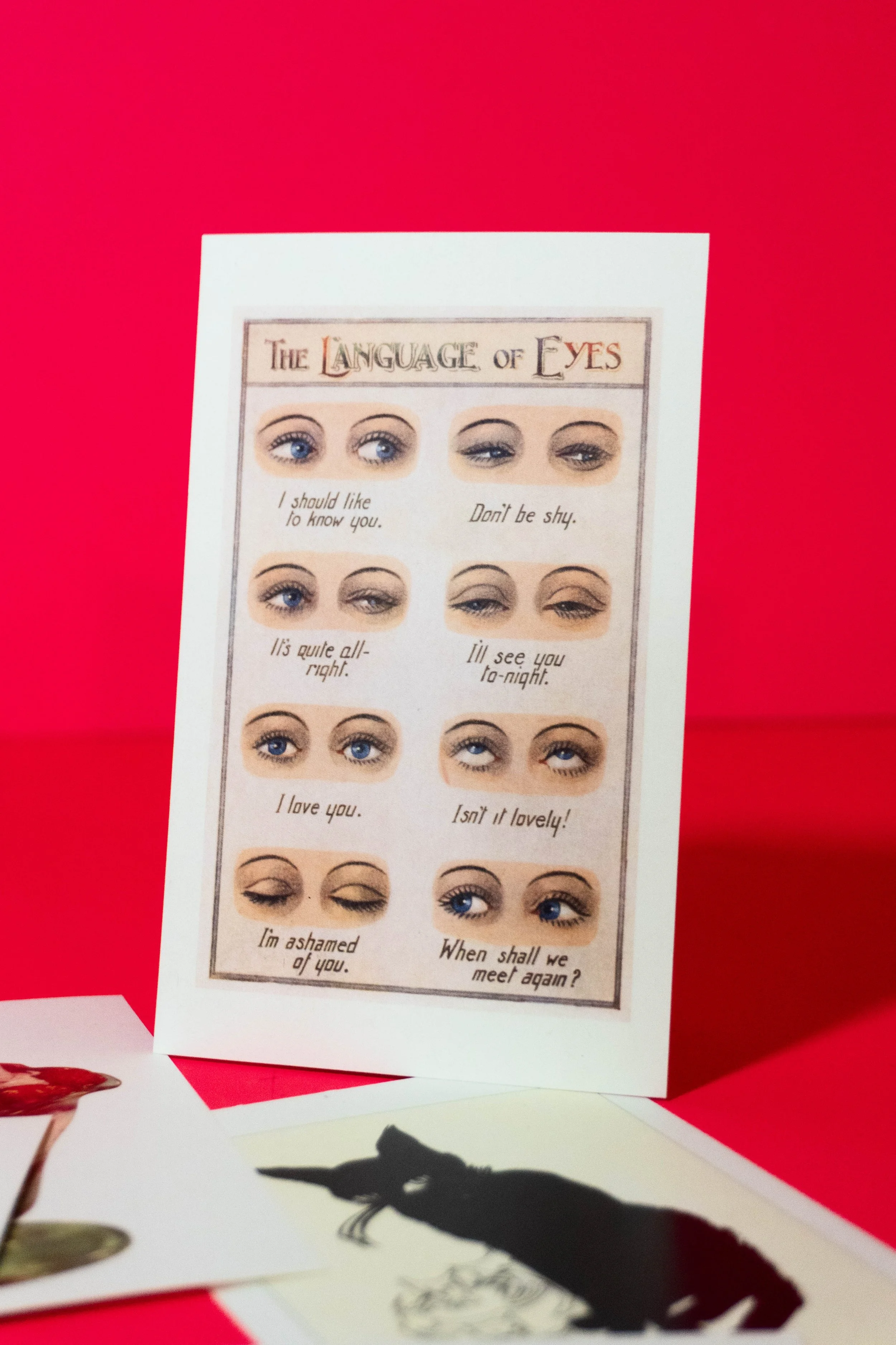 The Language of Eyes Postcard Set - Found Image Press