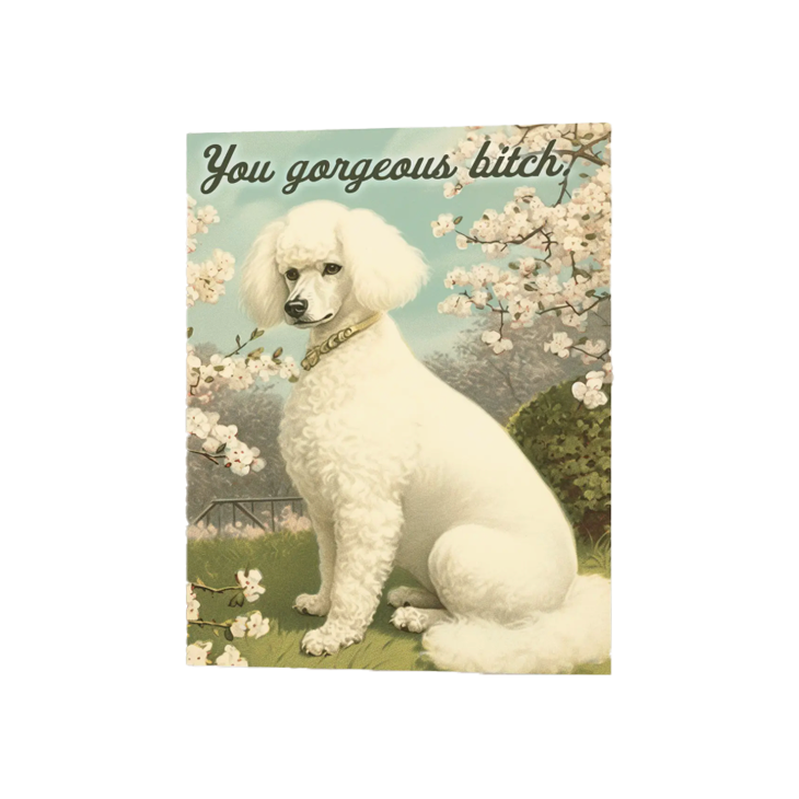 You Gorgeous Bitch Poodle Card by The Coin Laundry