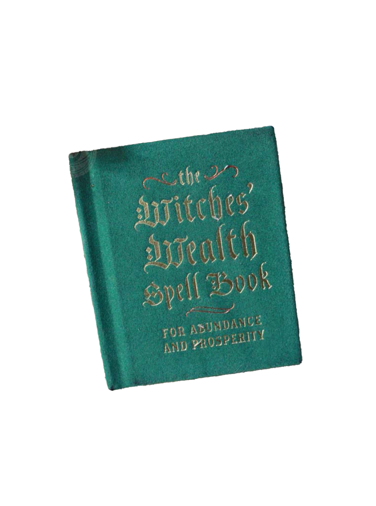 The Witches' Wealth Spell Book for Abundance and Prosperity