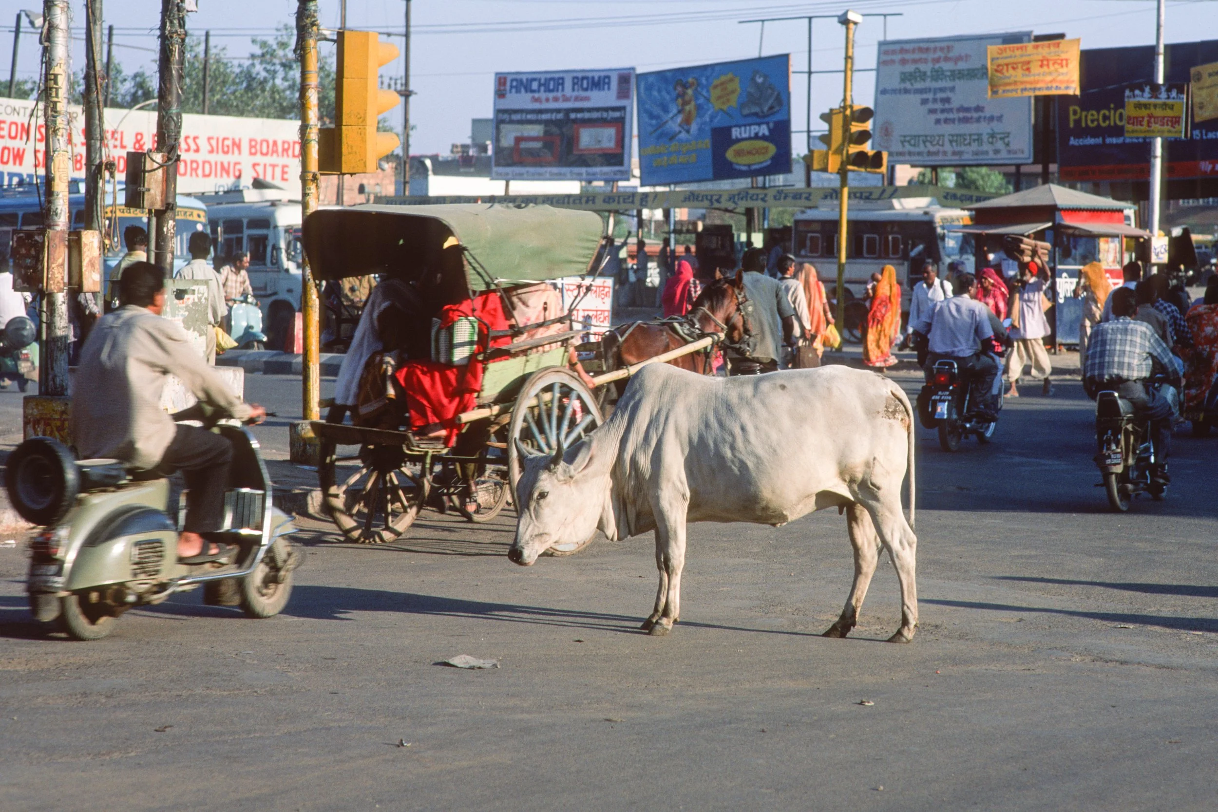 Street scene, Jodhpur