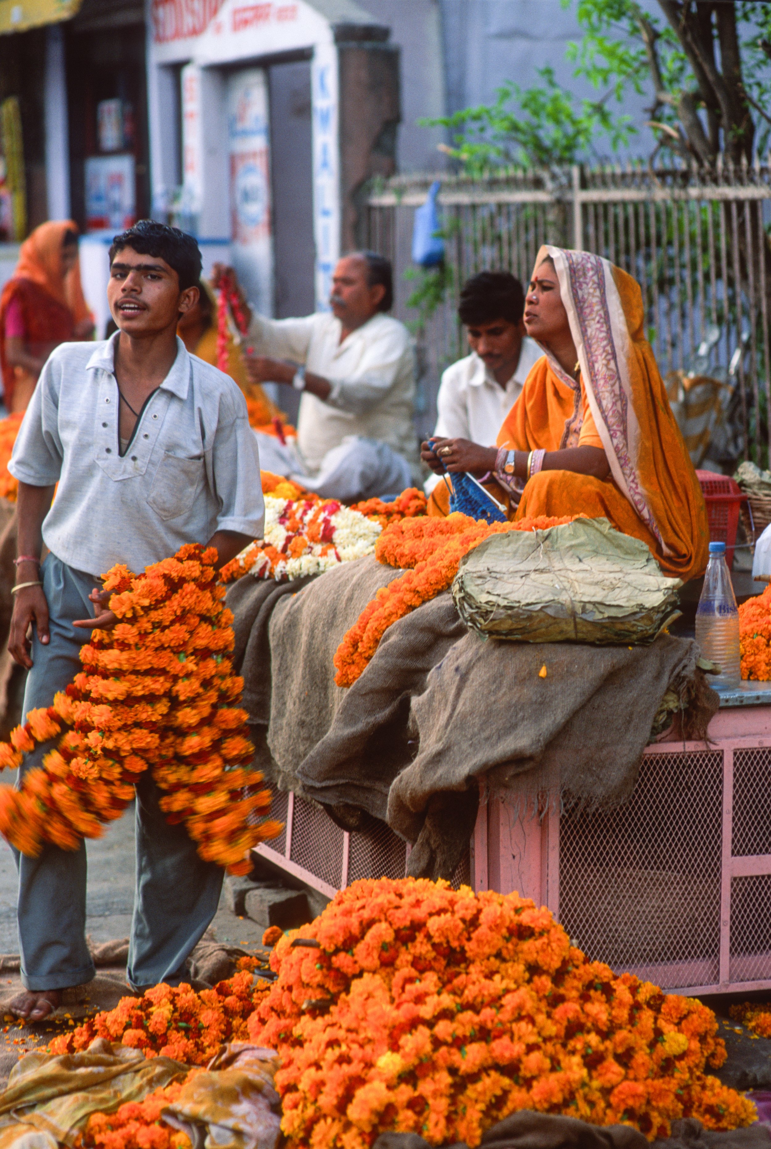 Jaipur