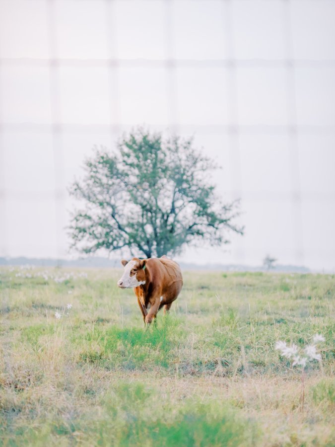 Ranch_Texas_Wedding_17.jpeg