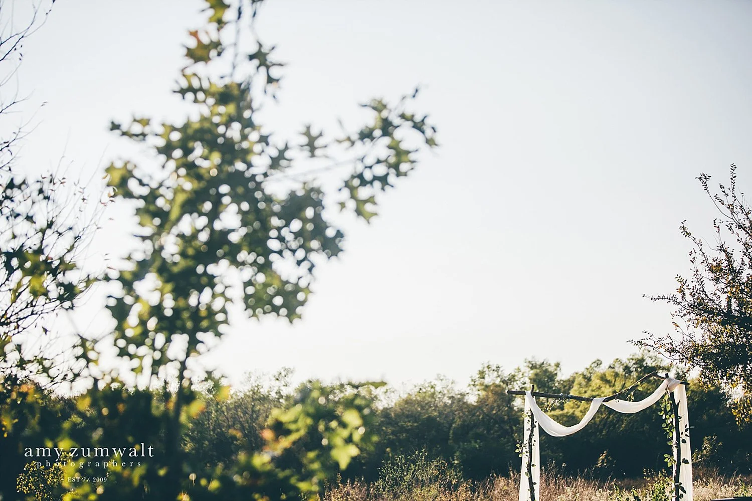 driftwood archway with hanging white fabric