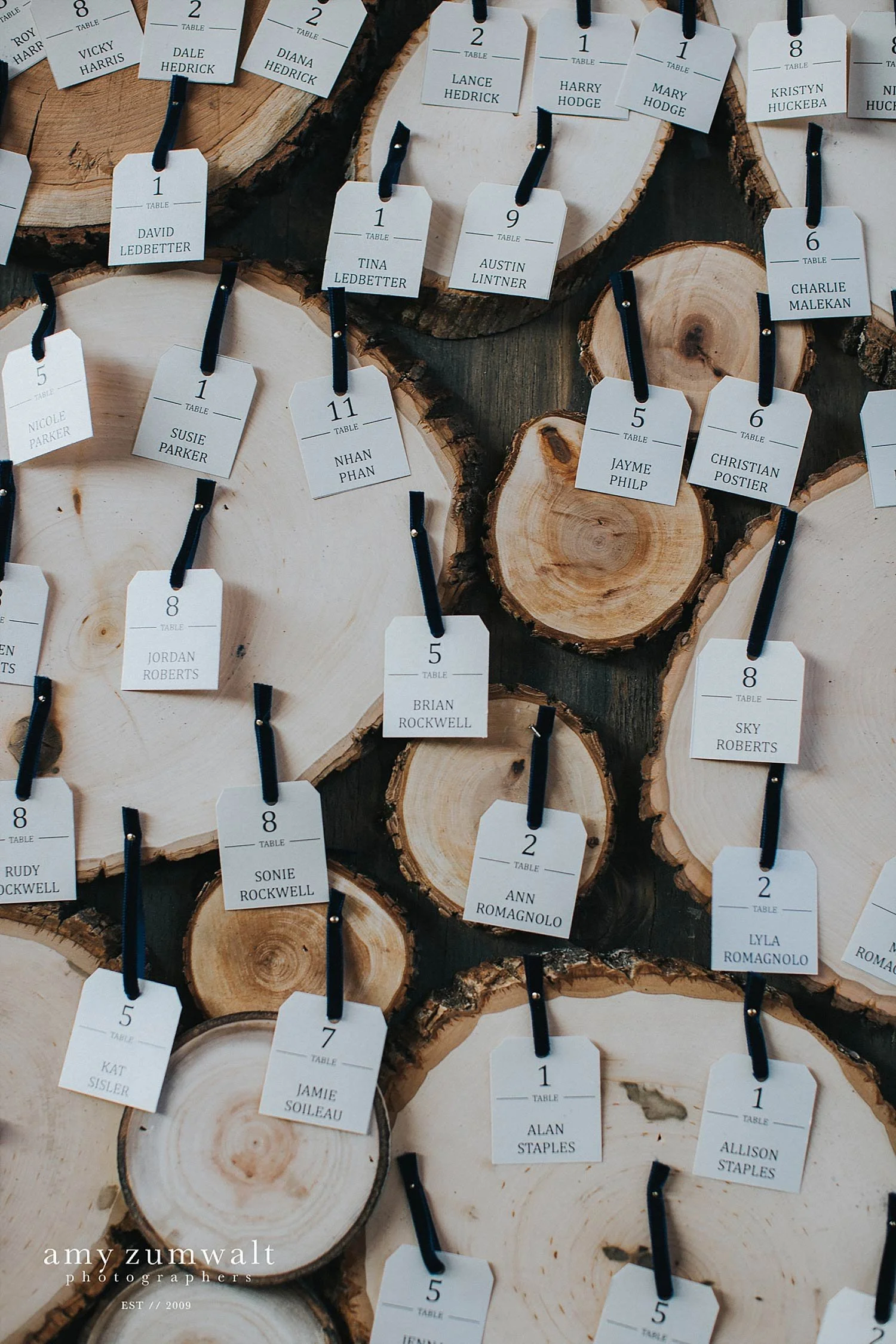 navy velvet ribbon on wood stumps