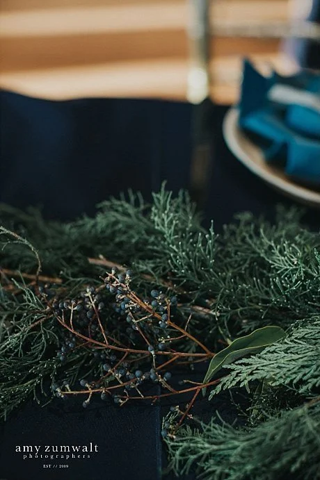 Succulents and driftwood