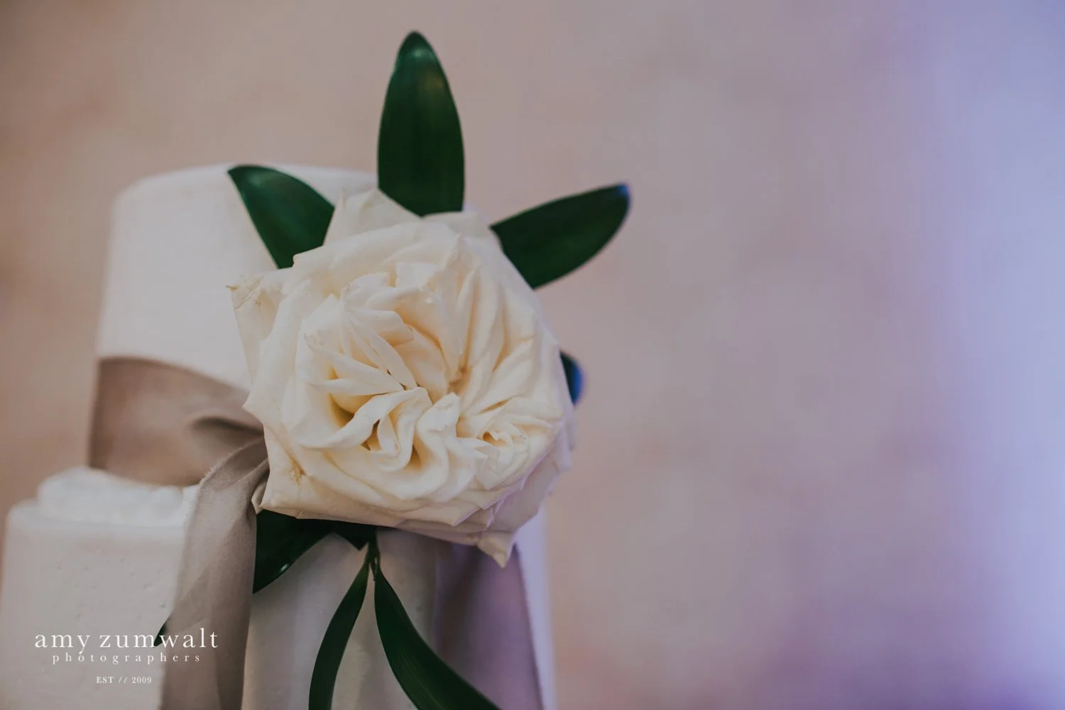wedding cake with large white garden rose and taupe hanging ribbon